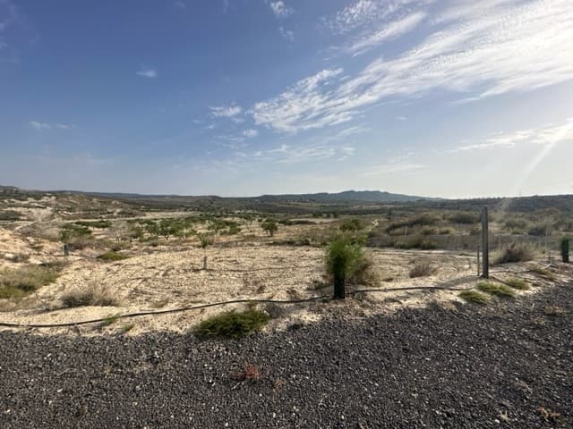 Here we have a plot of land for sale located in San Onofre and El Alcachofar near to Torremendo and close proximity to the border of Murcia.

Plot size 87,545 square meters.

If you wish to have access to mains electric there is an access point about 500 metres away from the land.

The land is registered as Rustic land, allowing the possibility to build a property due to the fact rustic land can be built on every 26,000m2. This permission will need to be checked at the local town hall for any updates.

Electric will need to be installed for a building mains or solar panels. 12 panels and a backup generator will cost about €14,000. A septic tank will need to be installed as well as a tank for water.

Torremendo is a small quiet authentic village with 580 inhabitants. It is surrounded by a typical rugged and varied landscape. The road from Torremendo to Orihuela is one of the most scenic you will find and the area proves to be a unique spot for nature lovers, cyclists and equestrian sport lovers. The well-known reservoir "Embalse de la Pedrera" is a mile away from the village in the direction of Orihuela. It is surrounded by a beautiful nature reserve with many different species of birds and where you can observe a spectacular sunset.

The village comprises a health centre, pharmacy, garage, petrol station, some small stores and several bars and restaurants. Once a week there is a small market. There is also a public pool that is open in the summer months. In the nearby larger village of San Miquel de Salinas only a 10 minute drive away, there is a large supermarket and a big open market once a week.

There are several beaches at a distance of around 18 km and in the vicinity of the village you will find several ‘Old Spanish Fincas’ with orchards of almond-, citrus- and olive trees. If you are looking for a Golf Course, there are several only a very short distance away. Easy access to the major motorways lead you to towns and cities like Orihuela, Bigastro, Alicante, Murcia and Torrevieja. The quality of the roads in the area is good. The airports of Alicante or Murcia are within easy reach.

 Location 37.975640,-0.93923