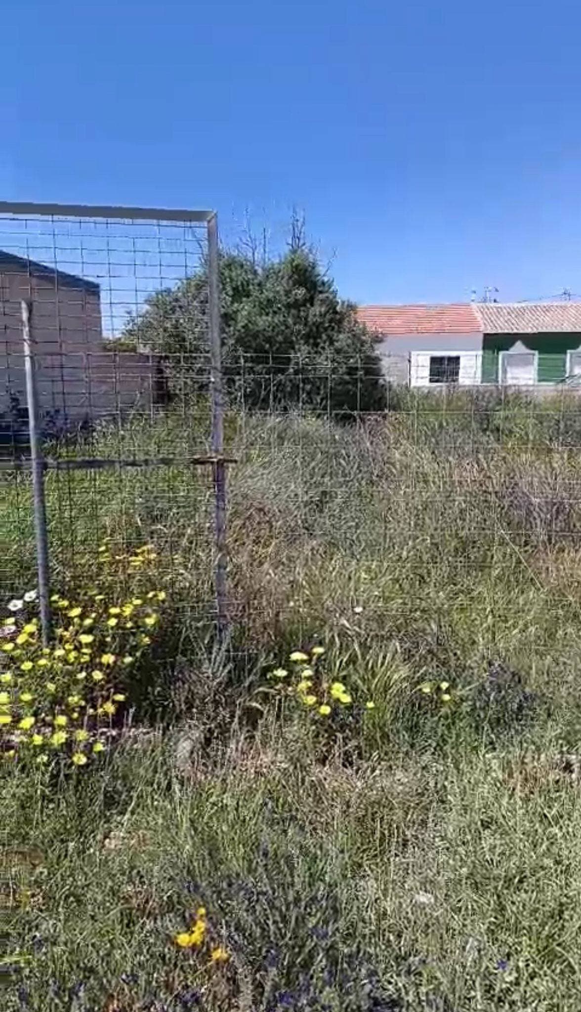 Se vende magnífico terreno urbanizable de 425 m² en una de las zonas con más proyección de San Pedro del Pinatar: Las Beatas. Una ubicación privilegiada que combina tranquilidad, comodidad y conexión con todo lo que necesitas para vivir o invertir con éxito. Este terreno es perfecto tanto para construir la casa de tus sueños como para desarrollar un proyecto residencial, gracias a su excelente entorno y servicios cercanos. Dispone de acceso a agua, está ubicado en una zona de paso, y rodeado de todo tipo de comodidades: autobuses, supermercados, parques, colegios, centros médicos, hospitales, centros comerciales y mucho más. Además, su cercanía a la costa lo convierte en una opción ideal para quienes buscan calidad de vida y bienestar. Con unas vistas despejadas y una ubicación céntrica, esta parcela representa una oportunidad única para invertir en un entorno en crecimiento, bien comunicado y con un alto valor añadido. 💡 Una parcela con alma, en un lugar donde el futuro se construye hoy.