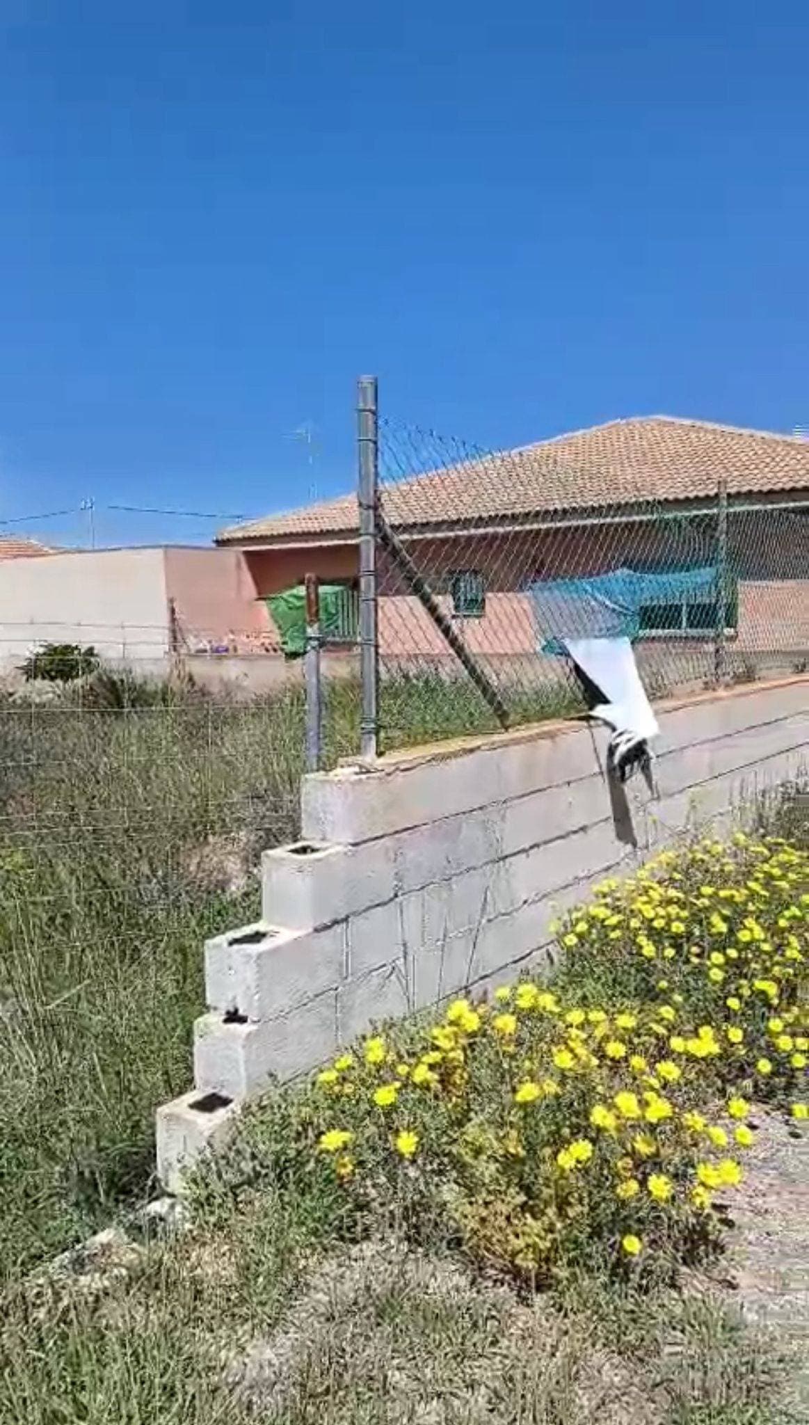 A magnificent urbanizable plot of 425 m² for sale in one of the most promising areas of San Pedro del Pinatar: Las Beatas. A privileged location that combines peace, convenience, and connection to everything you need to live or invest successfully. This plot is ideal both for building the home of your dreams and for developing a residential project, thanks to its excellent surroundings and nearby services. It has water access, is located in a high-traffic area, and is surrounded by all kinds of amenities: buses, supermarkets, parks, schools, medical centers, hospitals, shopping centers, and much more. Its proximity to the coast makes it a perfect option for those seeking quality of life and well-being. With open views and a central location, this plot represents a unique opportunity to invest in a growing area, well connected, and with high added value. 💡 A plot with soul, in a place where the future begins today.