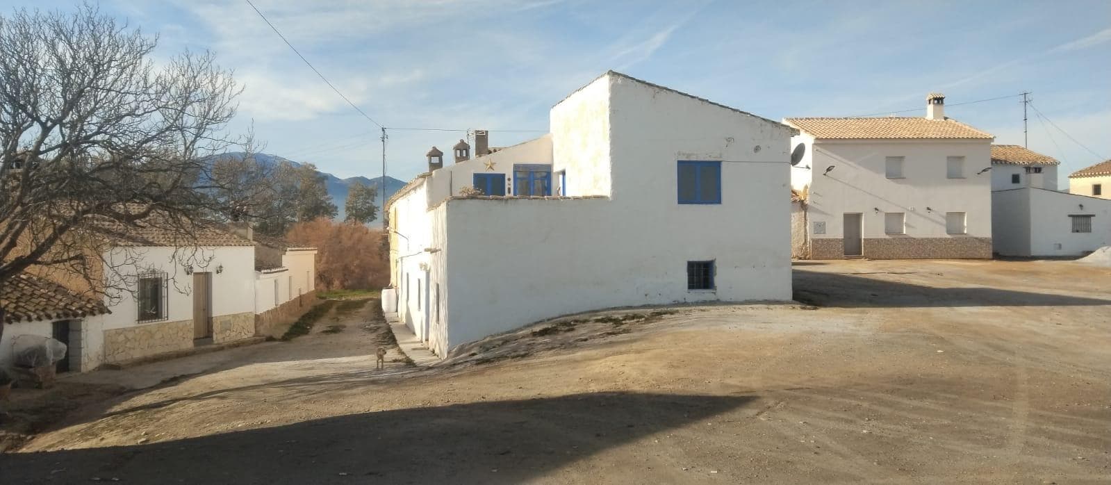 Enclavada en un tranquilo entorno natural, rodeada de olivares y campos de almendros, esta casa de campo bellamente renovada ofrece la escapada perfecta al corazón de la campiña andaluza. Ubicada a solo 5 minutos del pintoresco pueblo de Caniles y a 10 minutos en coche de la bulliciosa ciudad de Baza, esta propiedad combina la tranquilidad de la vida rural con fácil acceso a servicios modernos. La Casa Ubicada en una parcela de 87 m² con una superficie construida de 174 m², esta encantadora casa de campo de dos plantas ha sido renovada con gusto y con los más altos estándares, conservando su encanto auténtico. Detalles rústicos como vigas vistas, barandillas de hierro forjado, contraventanas tradicionales andaluzas y mosaicos intrincados se destacan por toda la casa, dándole un aire atemporal y acogedor. Casa Principal: Al acceder a la casa principal a través de una hermosa puerta de madera renovada, un encantador recibidor nos da la bienvenida. La casa cuenta con 4 espaciosos dormitorios (3 en la planta baja y 1 en la planta superior). Los actuales propietarios han reutilizado cuidadosamente uno de los dormitorios de la planta baja como despacho. Una hermosa escalera conduce a la planta superior, donde encontramos: Cocina tradicional andaluza de planta abierta con zona de desayuno. Comedor independiente: Amplio y luminoso, ideal para comidas formales o para recibir invitados. Acogedor salón: Perfecto para relajarse después de un día explorando el campo. Baño moderno: Un amplio espacio con una lujosa ducha a ras de suelo. Terraza soleada: Accesible desde la cocina y el rellano superior, este espacio privado al aire libre disfruta de luz natural durante todo el día y ofrece impresionantes vistas del paisaje circundante. Apartamento independiente: Situado en la planta baja, con entrada privada y también accesible desde el recibidor. Incluye un amplio dormitorio, un baño completo y una encantadora cocina-sala de estar con chimenea. Ideal para alquiler (sujeto a licencia), como apartamento para invitados o alojamiento para invitados. Infraestructura y suministros: Conexión a la red eléctrica y al agua. Fosa séptica propia para aguas residuales. Dispone de conexión a internet. La zona Caniles: Un pintoresco pueblo andaluz conocido por su mercado semanal, sus tiendas de artesanía local y su acogedora comunidad. Es un centro de actividades rurales, como la producción de aceite de oliva y las rutas de senderismo en la cercana Sierra de Baza. Baza: Una ciudad vibrante, llena de historia y cultura, cuenta con una amplia gama de servicios, como supermercados, escuelas, centros de salud y una gran variedad de restaurantes y bares de tapas. No se pierda el Festival anual del Cascamorras, un evento cultural reconocido por la UNESCO que celebra las ricas tradiciones del pueblo. Atracciones naturales cercanas Parque Natural de la Sierra de Baza: A solo unos minutos, este parque es un paraíso para senderistas y amantes de la naturaleza, con senderos panorámicos, avistamiento de fauna y vistas panorámicas. Embalse del Negratín: A 20 minutos en coche encontrará este impresionante embalse, perfecto para nadar, practicar kayak o relajarse en sus tranquilas orillas. Monte Jabalcón: Un lugar ideal para practicar parapente y rutas de senderismo de aventura, con vistas inigualables del paisaje circundante. Conectividad y viajes Aeropuertos más cercanos: Aeropuerto de Granada: Aprox. 1 hora y 20 minutos Aeropuerto de Almería: Aprox. 1 hora y 45 minutos Aeropuerto de Málaga: Aprox. 2 horas y 30 minutos La excelente conexión por carretera facilita explorar la región o desplazarse a pueblos y ciudades cercanas. 3 cosas que hacer en la zona: Explorar los Baños Árabes y el Casco Histórico de Baza: Retroceda en el tiempo mientras pasea por las antiguas calles de la ciudad y su arquitectura árabe preservada. Visite el Geoparque del Altiplano: Descubra formaciones geológicas únicas y yacimientos prehistóricos en esta zona declarada Patrimonio de la Humanidad por la UNESCO. Relájese en las Termas del Negratín: Una experiencia rejuvenecedora en piscinas termales naturales con impresionantes vistas al embalse. Esta excepcional propiedad ofrece una combinación única de auténtico encanto andaluz, confort moderno y un potencial infinito. Tanto si busca un tranquilo refugio rural, una casa familiar como una oportunidad para generar ingresos por alquiler, esta casa está lista para darle la bienvenida. ¡Contáctenos hoy para programar su visita y experimentar la belleza de esta joya del campo por sí mismo!
