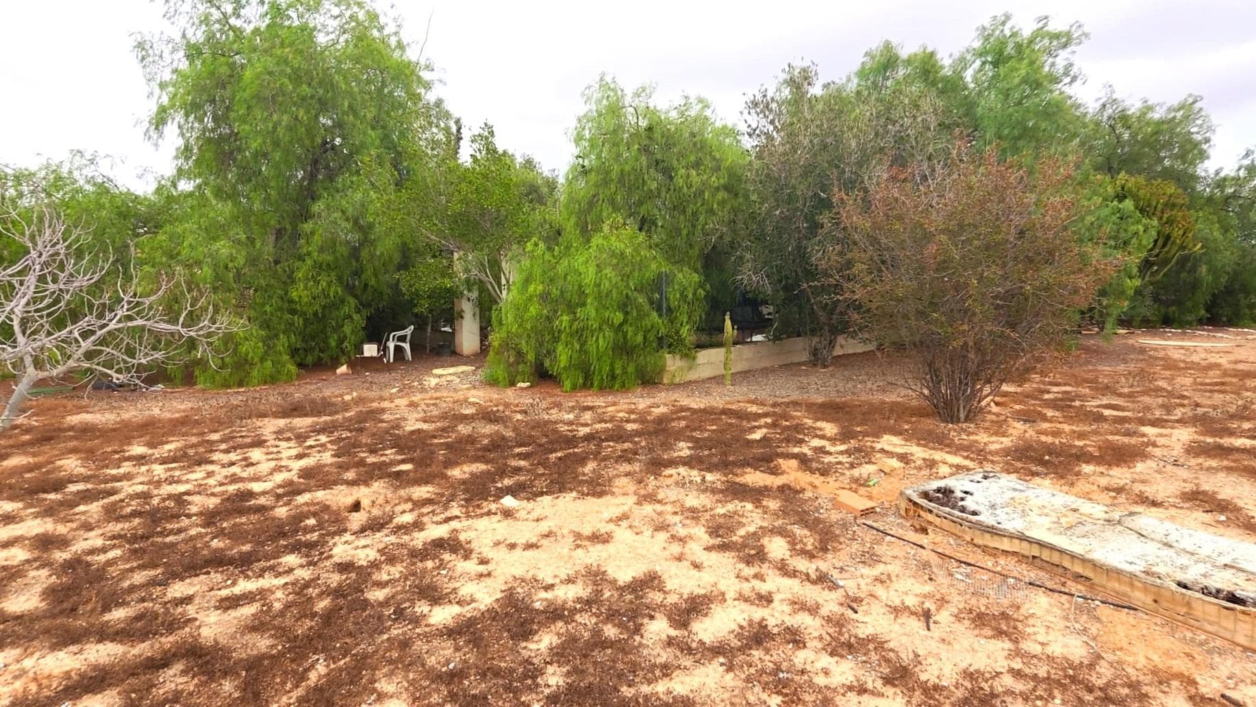 Plot of 7000 m² with house and services, 2 min from Los Montesinos Just a two minute drive from the charming village of Los Montesinos, lies a plot of land that is much more than just a simple parcel of land. With an extension of 7,000 square metres, this space offers the perfect combination of space, privacy and comfort. Inside, a house has been built. What makes this property truly special is its privileged location: close enough to the village to have quick access to all amenities, but with the tranquillity of a rural setting. The land has electricity and water supplies already connected. LOCATION: Los Montesinos is a charming municipality located in the heart of the Vega Baja del Segura region, in the province of Alicante. Surrounded by agricultural fields, salt pans and nature, this picturesque village combines the tranquillity of the rural environment with the proximity to the beaches of the Mediterranean. With its lively streets, welcoming squares and warm and hospitable community, Los Montesinos offers a relaxed lifestyle, ideal for both residents and those looking for a sunny spot to relax. Its traditional atmosphere, combined with modern amenities and good connections to cities such as Torrevieja and Alicante, makes it an increasingly popular place to live or invest. Alicante-Elche International Airport is only a 40 minute drive away, making it easy for both tourists and international residents to arrive. Murcia Airport (Región de Murcia International Airport) can also be reached in approximately 45 minutes. If you have any questions, please do not hesitate to contact us!