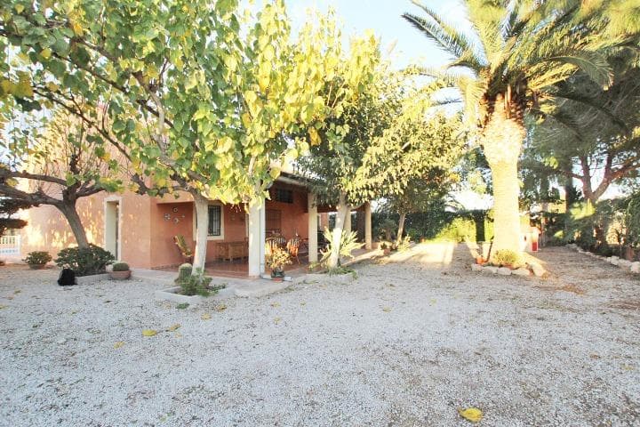 ¡Hola! Si estás buscando un lugar donde vivir rodeado de naturaleza y tranquilidad, esta casa en el corazón de la huerta de la Vega Baja podría ser justo lo que necesitas. Imagina despertar cada mañana con el canto de los pájaros y el aroma del azahar en primavera, todo mientras disfrutas de unas vistas espectaculares hacia el pulmón verde de la región y las sierras de Callosa y Orihuela. La vivienda está perfectamente conservada y cuenta con un hermoso jardín lleno de palmeras, moreras y cactus exóticos. Además, el amplio porche es ideal para relajarte y disfrutar del buen clima, ya sea en primavera o en verano. La piscina de 8 x 4 metros te ofrecerá un refrescante escape en los días calurosos, y el almacén te permitirá mantener todo en orden. Con una parte de la parcela vallada , tendrás espacio para aparcar, almacenar leña o incluso cultivar tus propias hortalizas y frutales. Y lo mejor de todo, ¡no tendrás vecinos cerca! Esto te garantiza la paz y la privacidad que tanto deseas. Recuerda que la casa tiene agua y luz, y toda la documentación está en orden. Solo ten en cuenta que el precio no incluye impuestos ni gastos de gestión de compraventa, y las fotos son solo referenciales, ya que puede haber ligeras modificaciones en el mobiliario. Si te interesa, no dudes en venir a visitarla. ¡Te encantará! Este lugar tiene un ambiente bucólico que te brindará la paz interior que buscas.