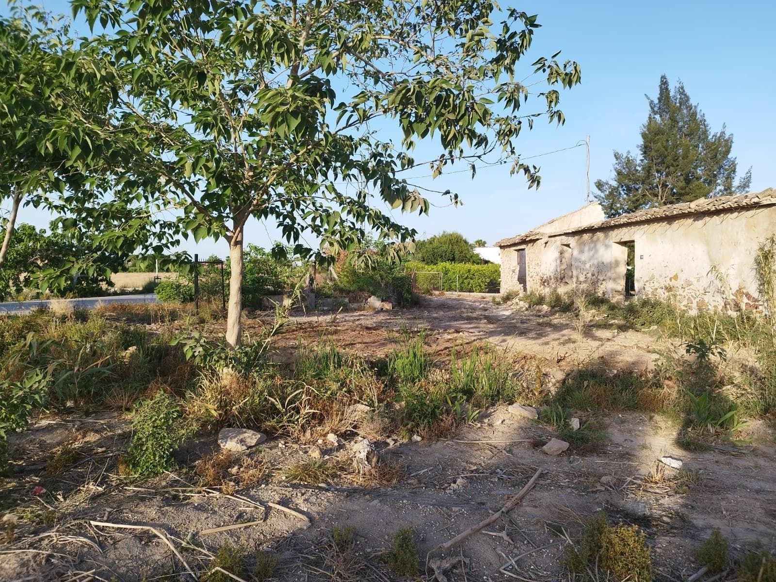 Se vende parcela rustica a unos 5000m2 en Catral, con posibilidad de construccion a unos 360m2, hay agua y luz. se puede construir una casa rustica rular y disfrutal de naturaleza, y tranqulidad alrededor.