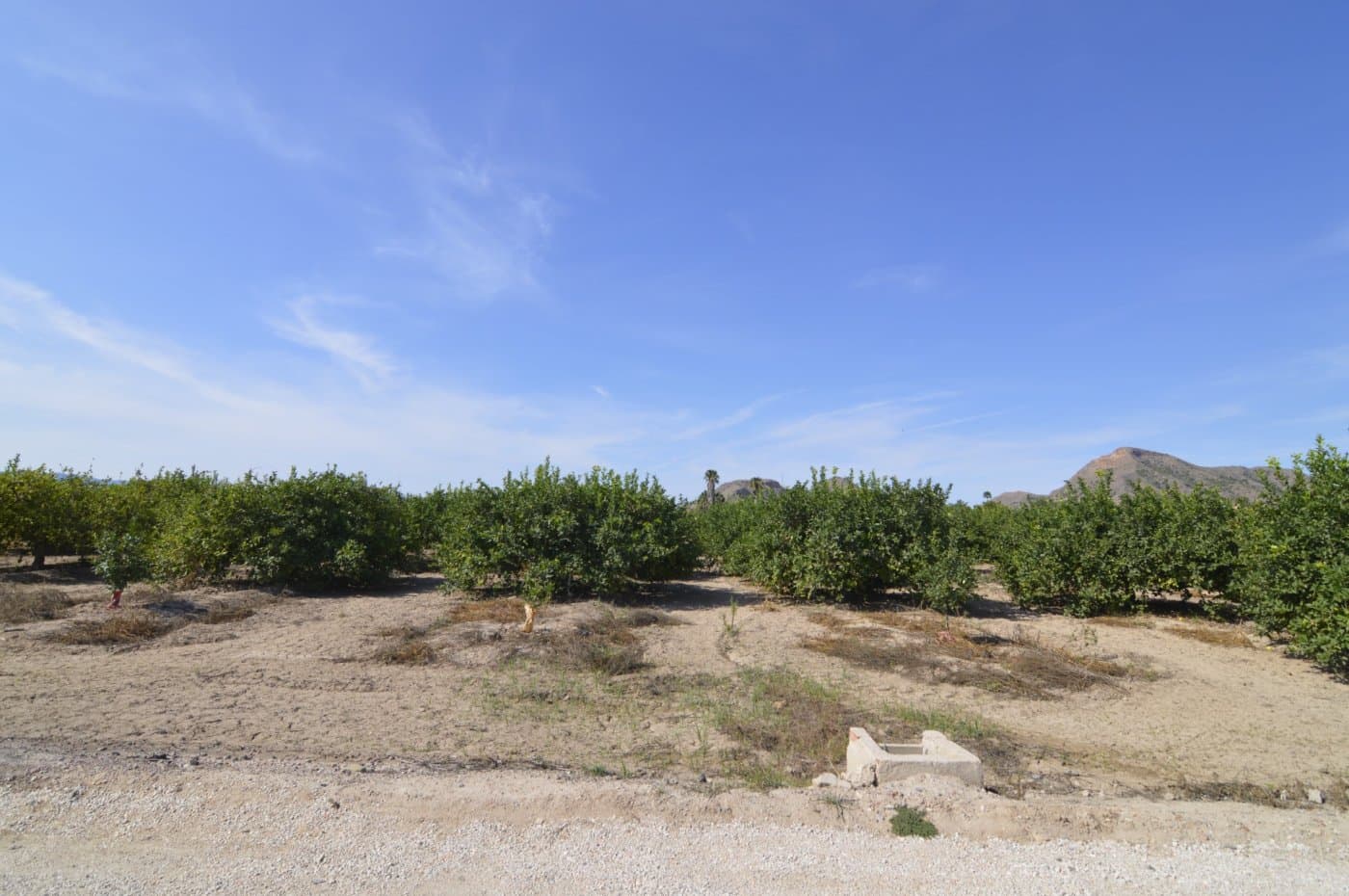 Rustic land of 2,600m2 for sale on the road to Los Cacheros area in Santomera, Murcia. Agricultural-type rural land, currently planted with lemon trees with traditional irrigation of the Acequia Zaraiche.