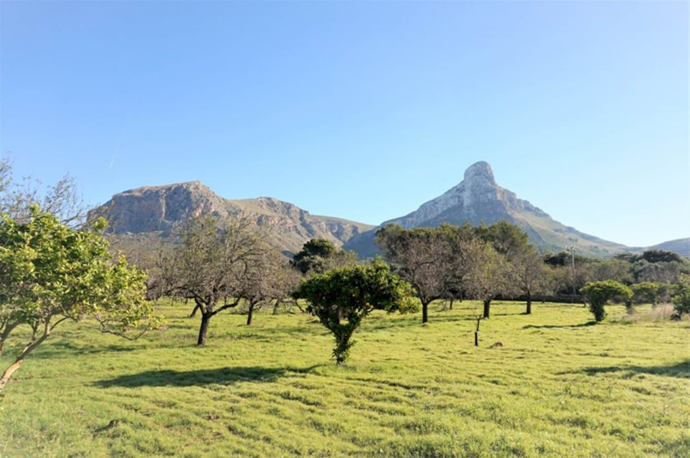 Bienvenidos a esta magnífica finca rústica situada entre la Colonia de Sant Pere y S'Estanyol, a tan solo 1 km del mar. Esta propiedad es la opción perfecta para quienes buscan un entorno natural, tranquilo y rodeado de hermosos paisajes. Con vistas despejadas y un entorno sereno, esta finca ofrece una oportunidad única para disfrutar de la vida en el campo con todas las comodidades.. . La finca cuenta con abundantes árboles autóctonos de la zona, que no solo embellecen el paisaje sino que también ofrecen sombra y un ambiente natural fresco. Vistas despejadas a las imponentes montañas de Mont Ferrutx y a la hermosa bahía de Alcudia, proporcionando un entorno pintoresco y sereno.. . La casa es ideal para reformar y puede disponer de dos dormitorios dobles, cocina, aseo, baño y un acogedor salón comedor. Espacio para estacionar un vehículo, proporcionando comodidad y funcionalidad.. . La propiedad está ubicada en una zona protegida, lo que significa que no se puede ampliar el volumen de la construcción existente. Sin embargo, se permite la reforma de la estructura actual, ofreciendo una oportunidad para renovar y personalizar la vivienda según sus necesidades y gustos.. . La electricidad está disponible justo al lado de la finca, facilitando cualquier proyecto de reforma o mejora que se desee realizar.. . La amplia extensión de terreno hace de esta finca un lugar ideal para quienes desean vivir en el campo junto a animales, disfrutar de la agricultura o simplemente tener espacio adicional para actividades al aire libre. Como constructores, ofrecemos asesoramiento profesional para la reforma de esta propiedad, asegurando que el proceso sea eficiente y acorde a sus expectativas.. . Esta gran finca rústica ofrece una oportunidad única para vivir en un entorno natural y tranquilo, con todas las ventajas de la cercanía al mar y a servicios esenciales. Con la posibilidad de reformar la casa existente y disfrutar de una vida en contacto con la naturaleza, esta propiedad es perfecta para quienes buscan un hogar con encanto rural y potencial ilimitado. ¡Contáctenos para más información y para organizar una visita a esta maravillosa finca!