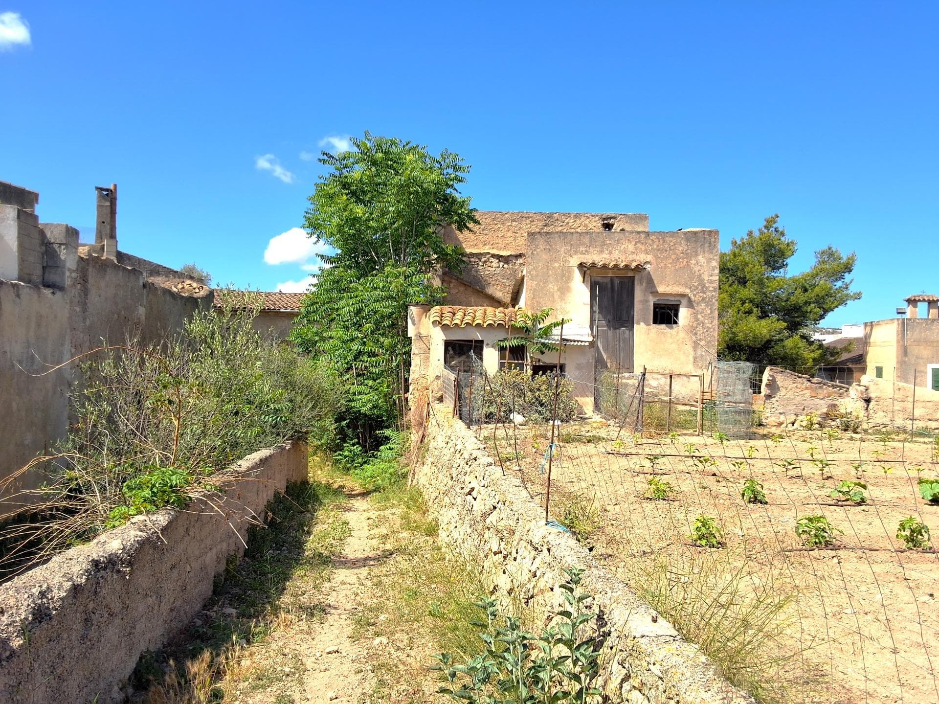 Unique Investment Opportunity!. We present you an excellent investment opportunity in an urban plot located in the quiet and beautiful town of Felanitx. This property offers considerable potential to develop a bespoke project in a strategic location.. The property has a total area of 1262m2 and a façade of 31 meters providing a wide urban front.. It has building potential, the area is completely buildable, ideal for the construction of homes, commercial premises, restaurants, etc.... The plot does not currently have water or electricity supplies, but these services can be easily installed thanks to its urban location.. The property includes two large warehouses, a former distillery, a small shed and a ruined porch, all offering options for renovation or development.. The perimeter of the lot is closed with a mixed wall, which adds character and privacy.. The land is located in a quiet area and removed from the center of the town of Felanitx, this property combines the peace of the rural environment with the convenience of urban accessibility. Having access to medical centers, natural park, shops, bars, restaurants and has a distance of 13km to the beach.. Important information:. Additional costs such as notary fees, property registration and sales taxes are not included in the price.. Don't miss this opportunity to invest in a plot of land with high potential in a privileged place like Felanitx. Perfect for investors looking to develop a significant project in a growing area.