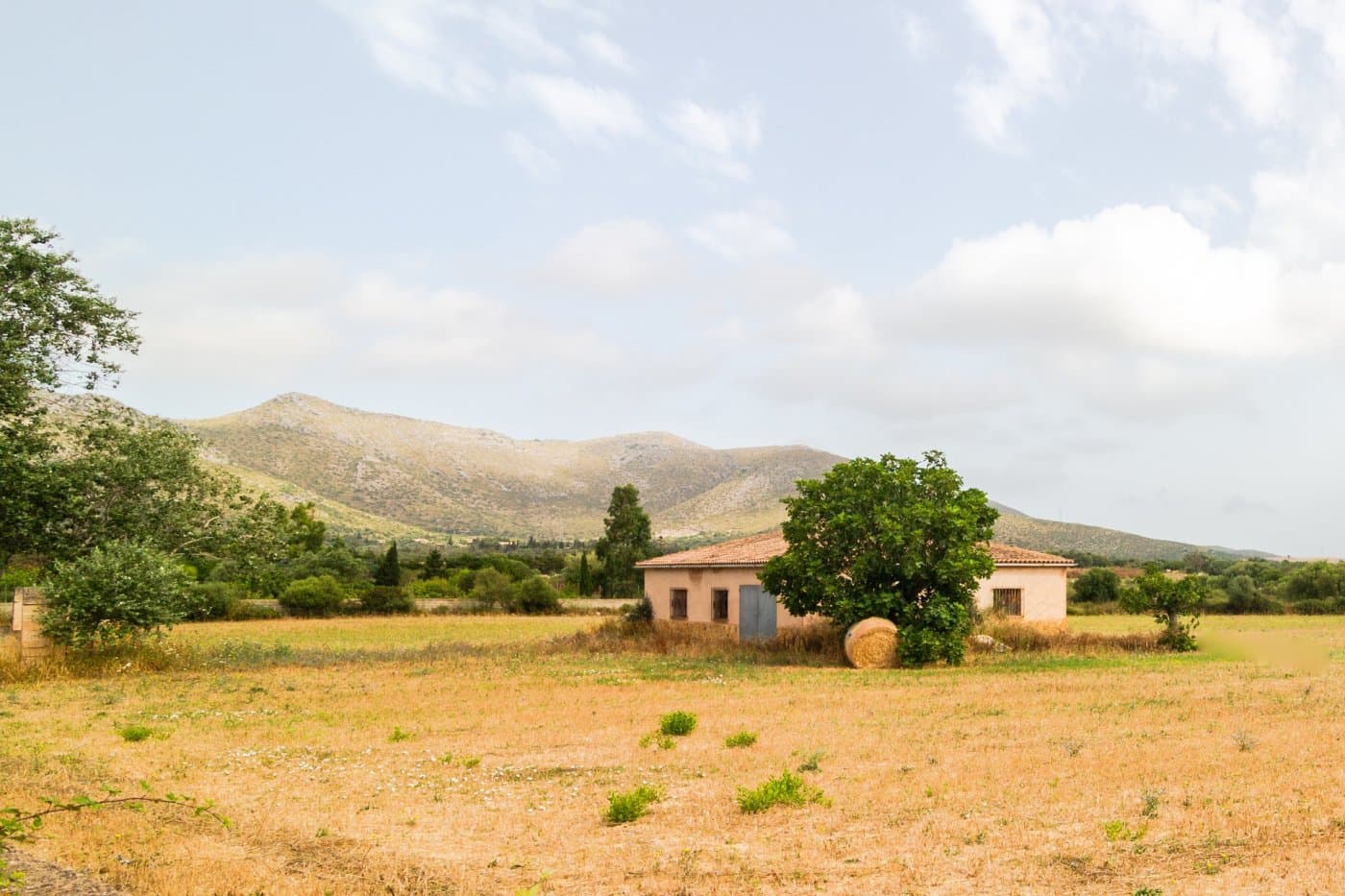 This set of two rural properties, with a total of 14,800 m², is strategically located near the Artá-Capdepera highway, just behind the Capdepera industrial estate. The property has excellent communication and offers clear views of the mountains and the picturesque town of Capdepera, providing a quiet and natural environment.. . Farm 1:. Agricultural Warehouse: A construction of approximately 140 m², equipped with a rainwater cistern. Tool Shed: A small, old stone shed of about 25 m², ideal for storage.. . Farm 2:. Natural Water Well: Completely legal and functional, providing a reliable source of water.. Infrastructure:. . The farms are semi-enclosed with a block and masonry wall, guaranteeing security and clear delimitation of the property. The main entrance to the property is built with Marés stone, offering robust and aesthetic access. The electrical connection is located about 400 meters away, facilitating future connections to the network.. . The combined buildability of both properties allows the construction of a house with the following characteristics:. . Construction Area: Occupation of 262 m² on the ground floor.. Height: Possibility of an additional first floor.. Swimming pool: A swimming pool of approximately 30 m².. . Currently, there is a preliminary project to expand the existing construction, transforming it into a two-story house with a garage and swimming pool. This preliminary project includes visual renderings that show what the house would look like once built.. . These farms represent an excellent investment opportunity, both for agricultural use and residential development. The possibility of building a new house with a pool and garage adds significant value to the property.. . The price does not include the taxes corresponding to the purchase and sale of the property, nor the notary and property registration expenses.. . We are builders and are available for any additional information or to organize a visit. If you want to build a new house on this property, contact us.