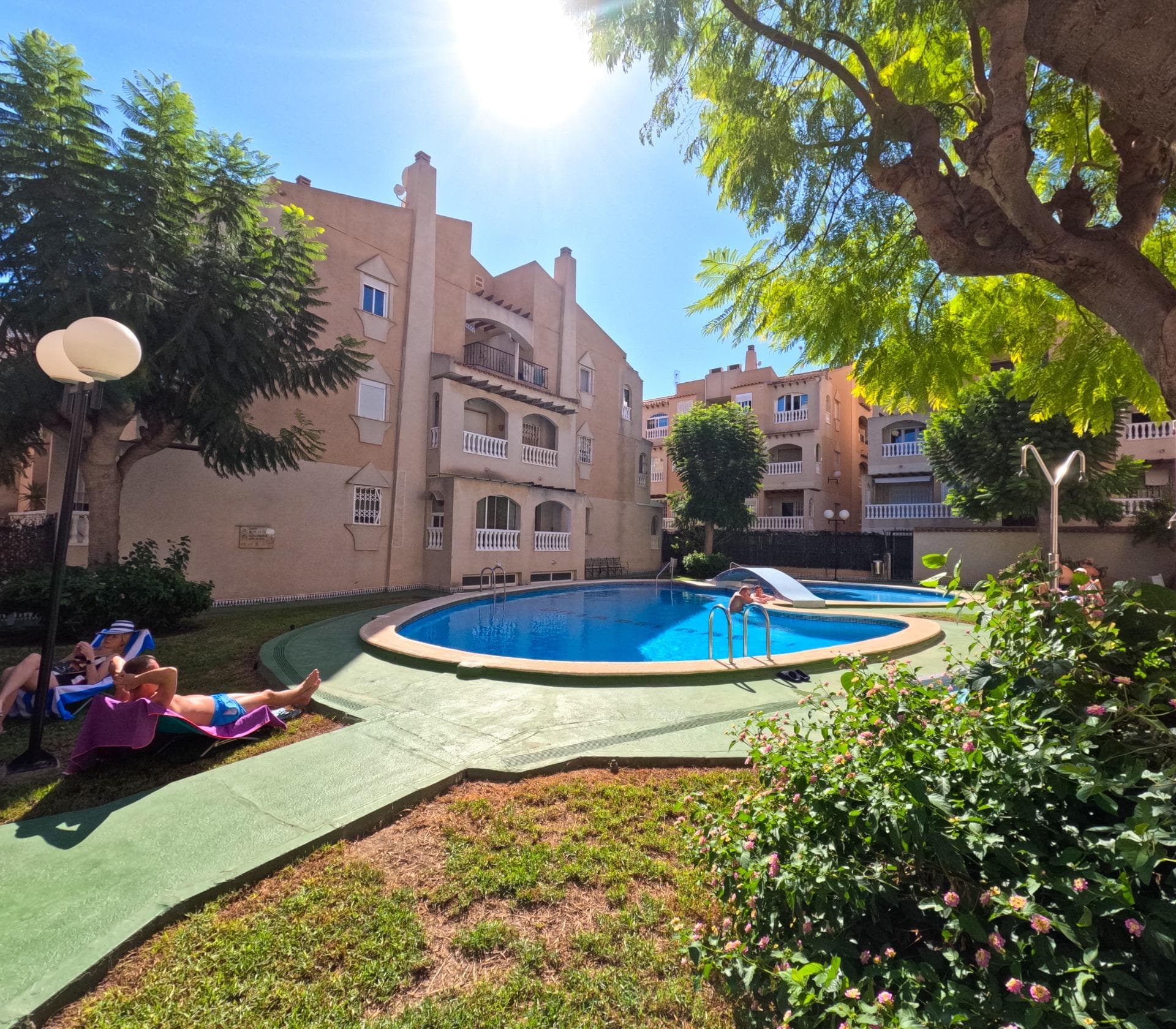 We present this fantastic 24 m² studio, a perfect opportunity both for those looking for a practical home in the city and for anyone interested in a profitable investment in one of the most sought-after areas. This property enjoys a prime location, offering comfort and proximity to all essential services: supermarkets, pharmacies, restaurants, public transport and leisure areas — all within walking distance. The studio has an open-plan layout, designed to make the most of every square metre. Its 24 m² are efficiently distributed to create a cosy and versatile space, ideal for one person or a couple. Its excellent location allows you to enjoy the Mediterranean lifestyle without a car, with the beaches and Torrevieja promenade just a short walk away. In short, this is a studio with an unbeatable location, ideal as a practical residence or as an investment with great rental potential.