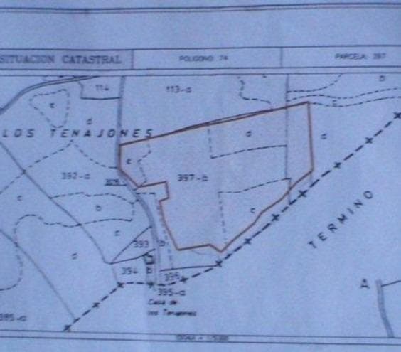 A rustic plot of land is for sale in Cañada del Trigo, with an area of ​​approximately 65,000 m². It is mostly planted with almond trees, which are currently producing fruit. It is close to the town and easily accessible via a paved local road.