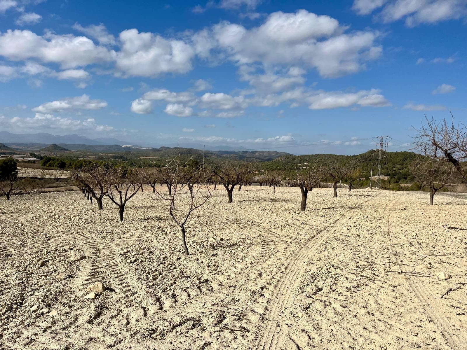 Esta exclusiva parcela de 71.641 m² se encuentra en La Copa de Bellas, el paraíso ciclista de España, a 60 km de Murcia capital. Actualmente es terreno agrícola, pero ya se solicitó un permiso urbanizable. La parcela ya cuenta con electricidad. Es una parcela muy amplia y hermosa, situada junto a una reserva natural, con vistas a las montañas y a los campos de almendros y tilos. En las parcelas adyacentes también hay fincas y una granja. ¡La casa que se puede construir tiene hasta 500 m²! ¡Privacidad garantizada y vistas impresionantes! Por lo tanto, el permiso no debería ser un problema, pero deberá volver a presentar la solicitud. Su gestor inmobiliario puede ayudarle fácilmente con esto.

 Junto al terreno se encuentra una gran reserva natural. Se encuentra a 3,8 km del pueblo de Bullas, donde encontrará todos los servicios necesarios, como restaurantes, bodega, el Museo del Vino y la hermosa reserva natural del Salto del Usero.

