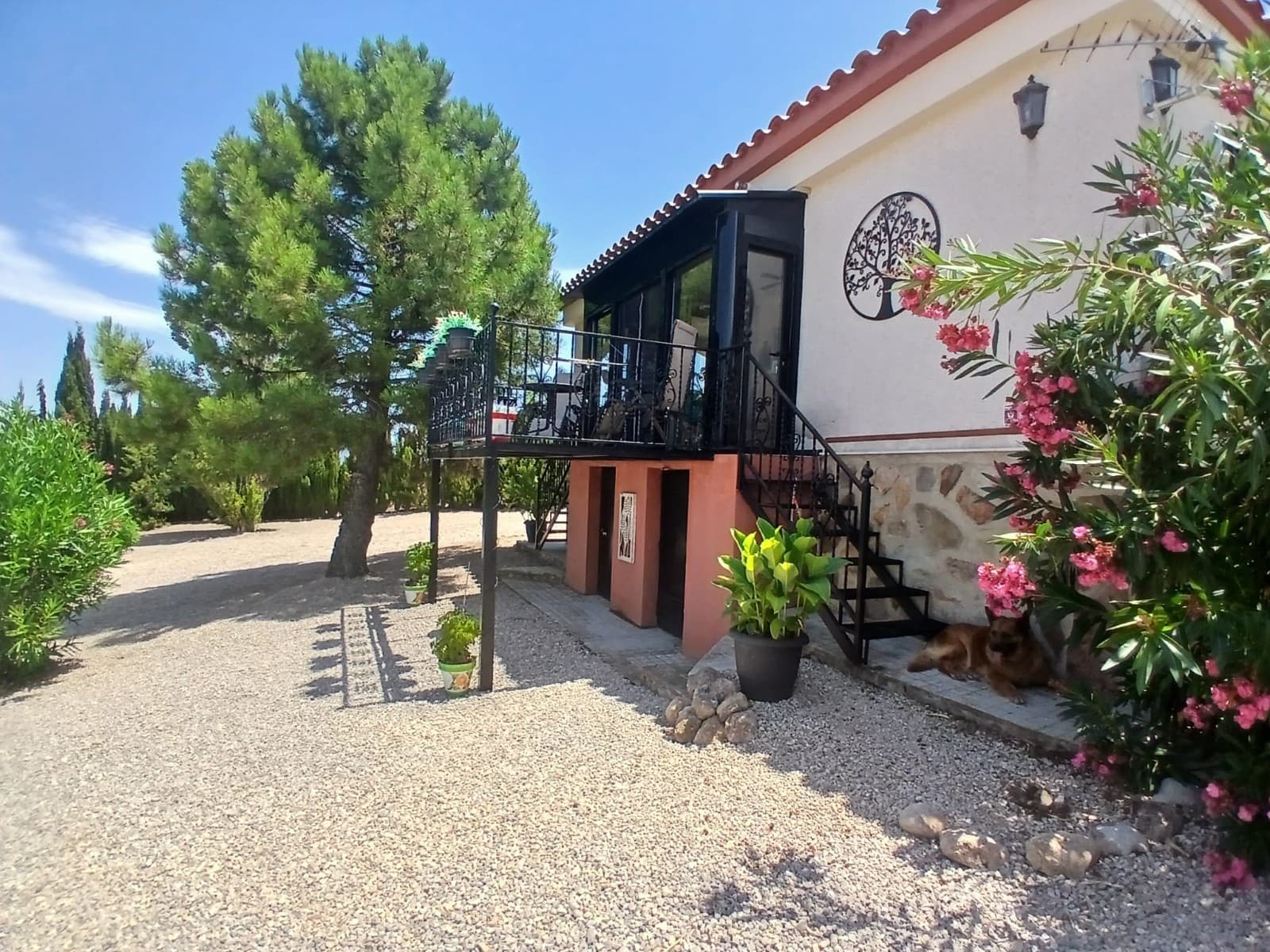 Unique, secluded finca on 6.5 hectares in the interior of Valencia in the Valle de Ayora, with an OCA-REGA licence for keeping 1 to 15 horses, which can be expanded if necessary. 

Extremely suitable for keeping horses, donkeys, sheep, goats and/or other (small) livestock. Starting a riding school and boarding stable or transfer location. 

Located 3 minutes from the village for your daily needs and medical care. 

The finca has 2 good access roads. 

The legalised bungalow is 23 years old and in good condition. There is a spacious living room-kitchen with a fireplace and there are 2 bedrooms and 2 bathrooms. 

The house is completely off-grid via solar panels, with batteries and a 20,000-litre water deposit. 

The meadows/paddocks are equipped with 1.70m high Heras galvanised fencing and access gates, and there are several shelters in the paddocks. The shelters are built in such a way that they can be converted into individual stables by installing standard-sized stable parts. 

Everything is in very good condition and the property is ready to move into!