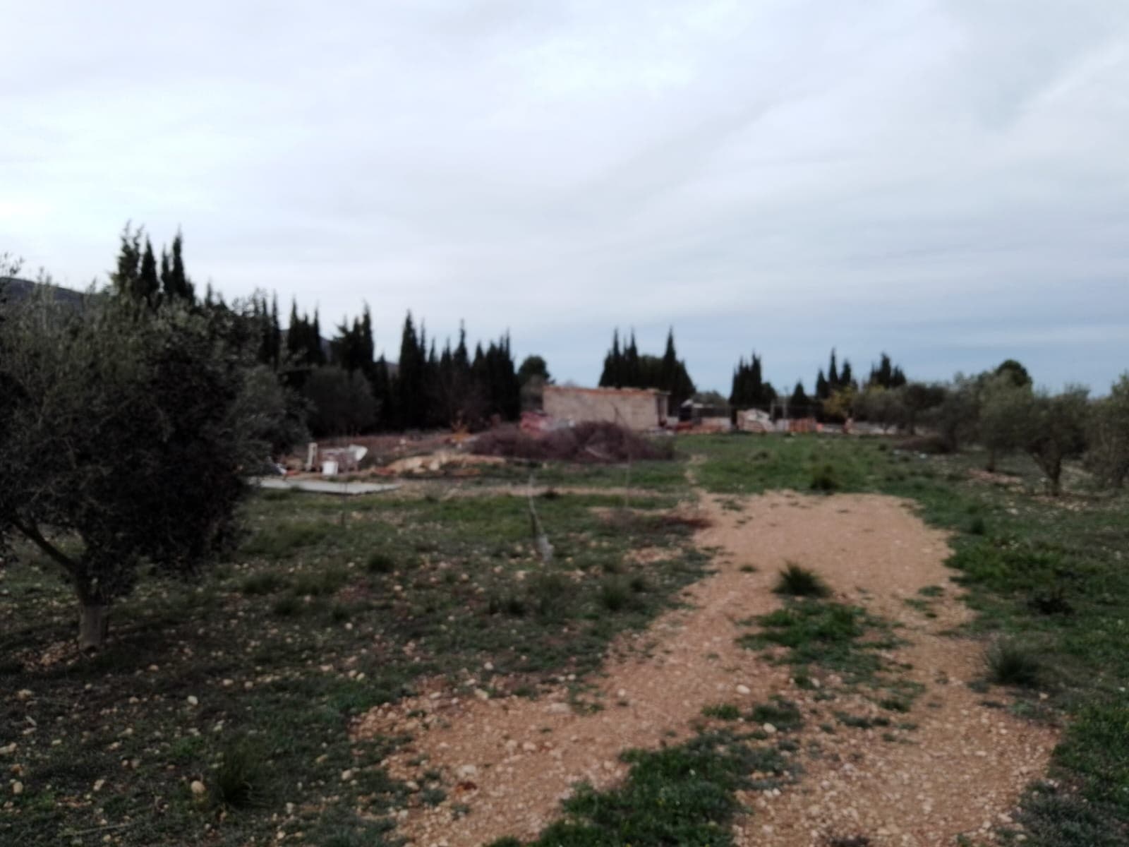 This concrete construction has 30m2 and needs to be completed, there is also a possibility to add another 20m2. 

There is mains water (irrigation water) and the plot of nearly 2100m2 is fully fenced. There is no electricity so a solar system is required, a complete off grid set can be bought at Obramat for just under 7.000 euro (this even includes a back up generator). 

There is a cesspit made with good pipes.

It is currently registered as a warehouse, but once completed (adding a bathroom and kitchen) you can change it to a house. 

There are about 15 olive trees, and furthermore there are peach, almond, medlar and pistachio trees and laurel.

There are also 2 fenced of areas to keep for example chicken.