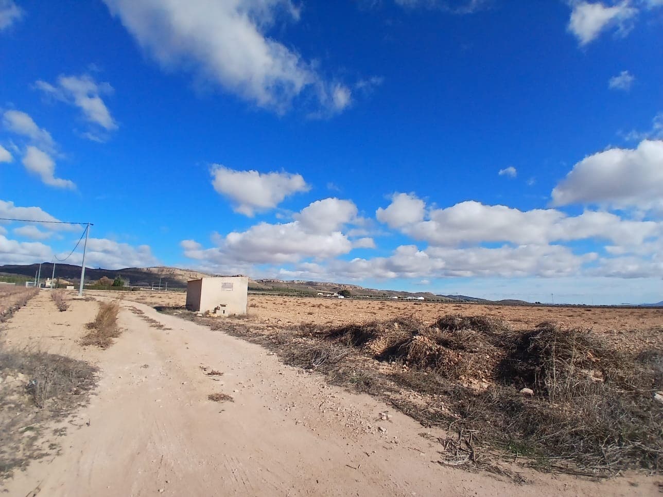 Nice flat building plot of 26,430m2 with irrigation water connection and possibility to connect to the electricity net, located 9,5km from Yecla centre. Good access via tarmeric road up untill the plot.