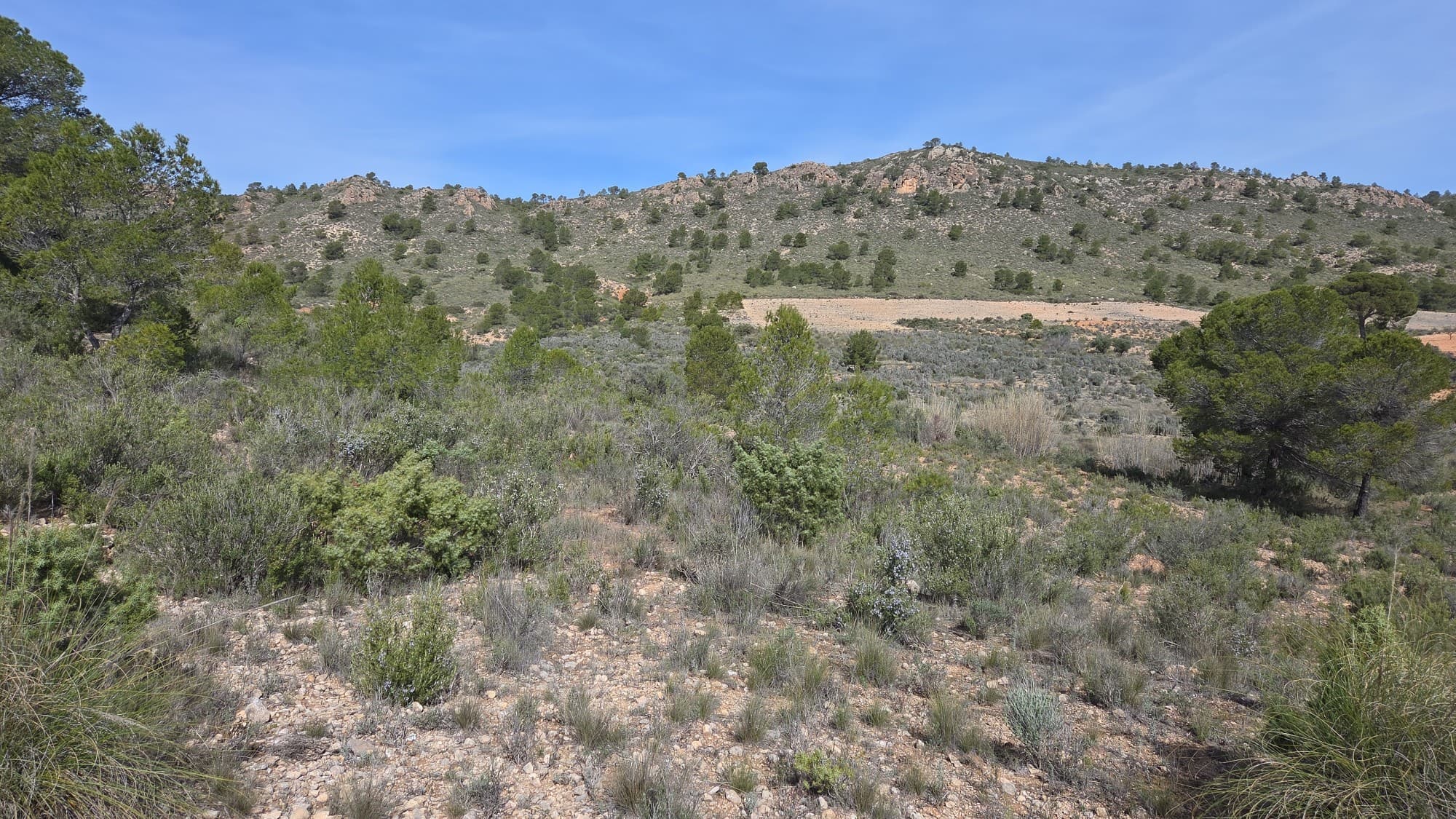 Building plot of over 27,000 m² in the mountains in Yecla. The plot has an electricity connection but no water. A water tank will need to be installed for water. The views are truly breathtaking! The access road is unpaved but is maintained by the local council. A 4x4 is recommended, although a regular car can also reach the plot.