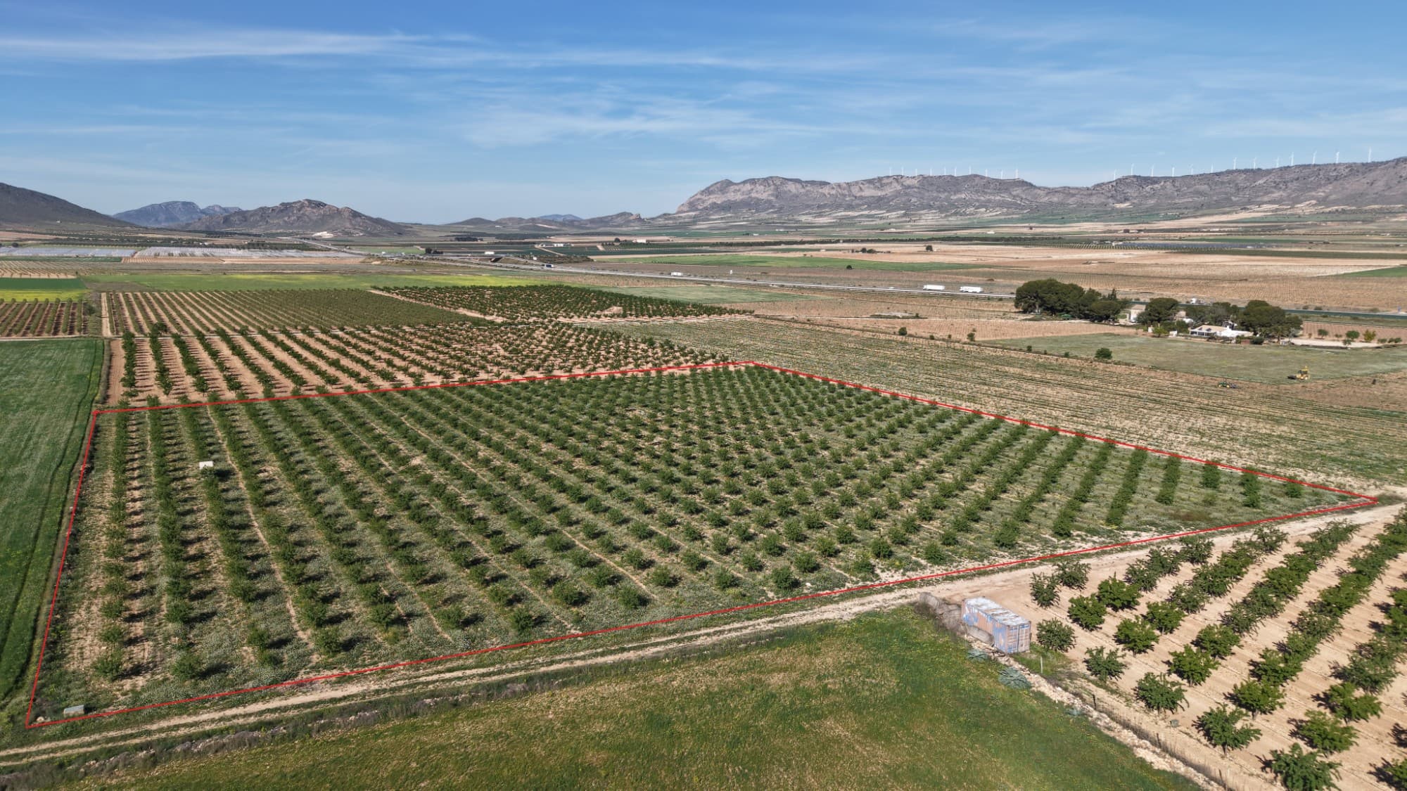 Building plot of 21,625 m² with 1,400 almond trees – Yecla, MurciaAre you looking for the perfect spot to build your dream home in Spain? This expansive building plot of no less than 21,625 m² in the charming town of Yecla (Murcia) offers all the space, privacy and possibilities you could wish for.A thriving investmentThe plot is currently fully productive and planted with approximately 1,400 healthy almond trees. This not only provides a stunning spectacle during the blossom season but also offers an agricultural character and potential yields. To keep the trees and your future garden in top condition, the plot is already connected to the local irrigation water network.Sustainable and self-sufficient livingAlthough there is currently no connection to the electricity grid, this actually presents an excellent opportunity to build a fully sustainable home. Thanks to the many hours of sunshine in this region, installing a modern solar panel system is the ideal solution. This not only makes you environmentally friendly, but also completely independent of rising energy costs.AccessibilityThe location combines tranquillity with good accessibility. The road to the plot is almost entirely tarmac-surfaced. Only the final 200 metres consist of an unpaved track, which is, however, easily passable in a standard car. Here, you can enjoy the peace and quiet of the countryside without compromising on accessibility.Build your own dream homeThe size of this plot offers plenty of scope for building a spacious detached villa with a swimming pool and outbuildings (subject to local building regulations). Whether you dream of a modern designer villa or a charming country finca, this is the perfect foundation.We are here to helpBuilding a home abroad is a major undertaking. We are therefore happy to guide you through the entire process: from the initial sketch to liaising with local architects and builders.