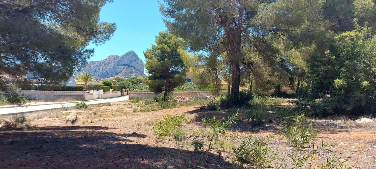 Parcela urbana y llana de 849 m2 ubicada en una de las mejores zonas de Calpe.La playa de la foto se encuentra a sólo 1.300 metros de distancia.Todo tipo de servicios muy próximos.Pídanos una visita sin compromiso!
