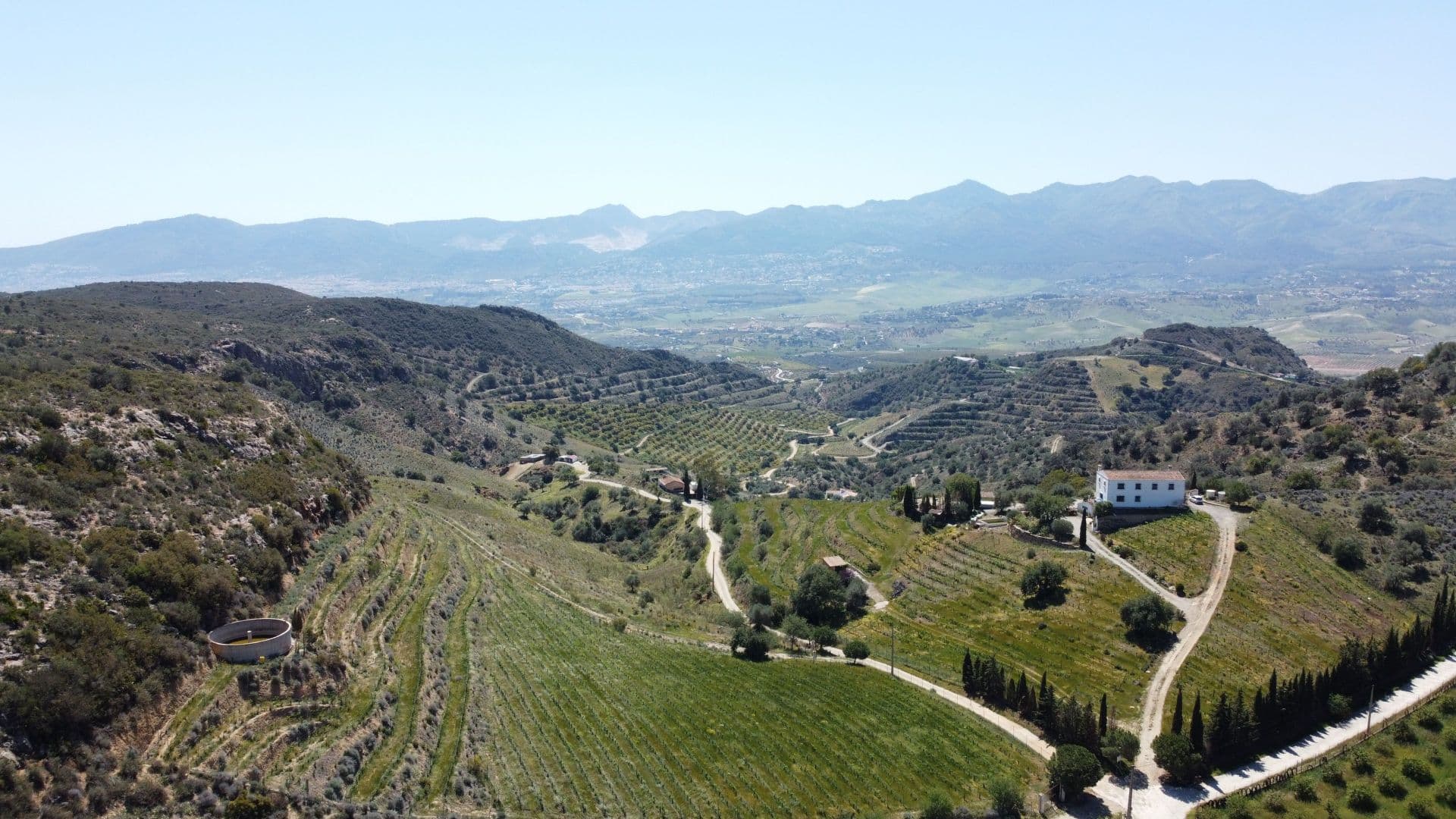 Functioning Winery producing trademarked wines from Sierra de Málaga Mountains for sale on the Costa del Sol. Located in the picturesque interior of the Costa del Sol, this fully operational winery represents a unique opportunity for wine enthusiasts and investors passionate about the world of wine. With a plot of almost 88,000m², this estate is immersed in the beauty of the Málaga Mountain Range, providing an idyllic setting that complements the exceptional quality of its products. Key Features: Wine Production: The winery has an active production of wines with the designation of origin from Sierra de Málaga, a region renowned for its high-quality grapes and unique terroir, producing 4 types of high quality wine (Crianza, Reserva, Moscatel Dry, and Rosé). The wines produced here reflect the richness of the soil and climate, offering an unparalleled sensory experience. Facilities: Equipped with winemaking technology, the winery has facilities that ensure quality and consistency in every bottle. From grape reception to aging in barrels, each step of the process is carried out with precision and care. Private Vineyards: The property includes its own vineyards that supply the winery with the highest quality grapes. These meticulously maintained vineyards provide not only exceptional raw materials but also visual appeal that adds aesthetic value to the property. Tasting Spaces: The winery has designated areas for tastings, where visitors can enjoy guided tastings of the produced wines. These spaces are ideal for events, tours, and activities that promote wine culture. Strategic Location: Situated on the Costa del Sol, the winery benefits from proximity to key tourist markets, providing opportunities for marketing and business expansion. This winery for sale not only represents a solid investment in the thriving wine market but also the opportunity to become part of the winemaking tradition of Sierra de Málaga. Don't miss the chance to acquire this unique property that combines oenological excellence with the charm of the Costa del Sol. Contact us for more information and discover the potential that this winery has to offer!