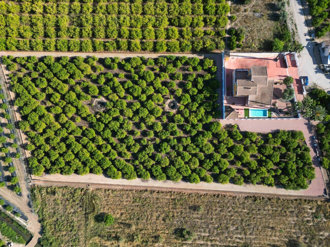 Set within a unique Mediterranean landscape, this exceptional property offers the perfect combination of luxury living, privacy and income potential. Situated on a total plot of 9,480 m² in the sought-after area of Camino Fabregat, Orihuela, this impressive estate includes a spacious villa, beautifully landscaped grounds and a productive lemon plantation.The main residence offers 495 m² of living space and sits within a fully fenced 1,000 m² private garden. The villa features five generous bedrooms and three bathrooms, providing ample space for family living or entertaining guests.Outside, the property has been designed to enjoy the Mediterranean lifestyle to the fullest, with a newly constructed swimming pool completed in 2025, attractive garden areas, and a fantastic barbecue area complete with a traditional wood-fired oven. High-quality finishes throughout further enhance the property’s appeal.Beyond the fenced garden lies an additional 8,480 m² of private land planted with approximately 400 lemon trees currently in production. The plantation generates an estimated annual income of between €15,000 and €20,000, making this a rare opportunity to enjoy both a beautiful home and an established agricultural investment.Ideally located on Camino Fabregat, 29, the property is just minutes from Orihuela city centre, Bigastro and the Ociopía Shopping Centre. The beautiful beaches of Torrevieja and Campoamor are approximately 30 minutes away, while several prestigious golf courses are within easy reach.Property FeaturesTotal plot: 9,480 m²Villa built area: 495 m²5 bedrooms3 bathroomsFully fenced 1,000 m² garden plotNew swimming pool (2025)BBQ area with traditional ovenHigh-quality finishesApproximately 400 productive lemon treesEstimated annual agricultural income of €15,000–€20,000Excellent location close to amenities, golf courses and beachesA rare opportunity to acquire a substantial country estate with income potential in one of the most desirable areas of the Vega Baja. 