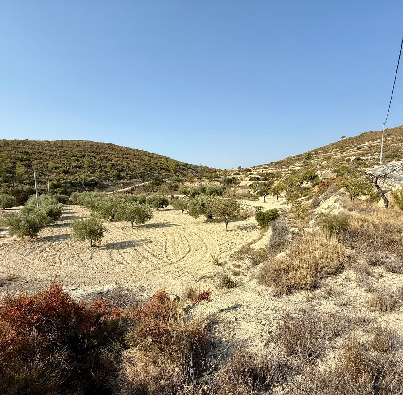 Unique rustic plot in Relleu of 35,945 m², located in a stunning natural setting with panoramic views. Just a 30-minute drive from the popular beaches of the Costa Blanca, this is the perfect balance between peace, nature, and accessibility.Main features:Buildable rustic plot in Relleu (Alicante)Partially levelled land with unpaved access roadsUtilities available: base for water and electricity connectionBuilding parameters for non-urban agricultural land:▪ Minimum plot size: 10,000 m²▪ Maximum buildable area: 2%▪ Maximum height: 2 storeys and 6 metres▪ Minimum setback from boundaries: 12 metres, except as established in road legislation easements.Why this plot in Relleu is ideal:A unique opportunity for investors, developers, or private buyers looking to create a luxury residential project in Spain. Its location in the charming village of Relleu, surrounded by mountains and nature, makes it an attractive option for both permanent living and holiday rentals.The combination of rustic charm, building potential, and proximity to the Costa Blanca makes this plot perfect for creating one or more exclusive villas with high return potential.📞 Contact us today for more information or to arrange a viewing.