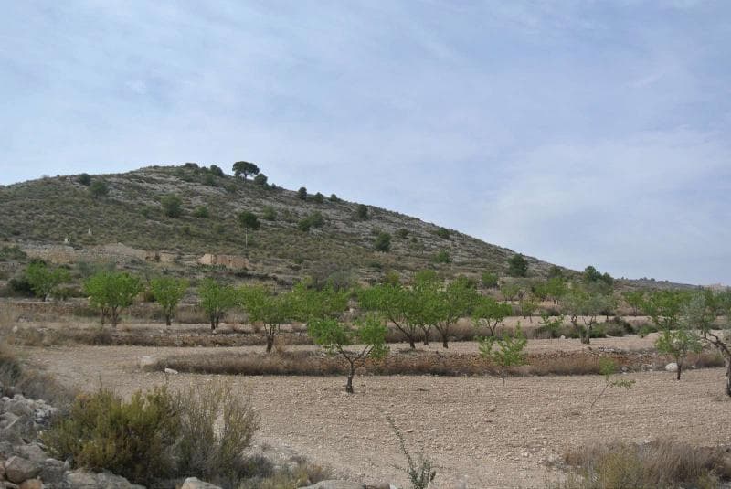 This is a fabulous plot situated not far from the nearest village on the side of a hill. It is just over 22,000 m² and offers fabulous views over the surrounding vineyards, orchards and regional parks. The plot itself is planted with almond trees over various terraces and both water and electricity are available in the area. This is ideal for somebody who is looking for a building plot to give them privacy with commanding views over the landscape. There are neighbours in the area, but the plot is big enough to give you as much space and privacy as you want. Access to the plot is via a track and the main town is approximately a 7/8 min drive away - the town offers all the day-to-day facilities that you might need such as 24-hour medical centre, supermarkets, sports centre complex, etc. The plot can also be an excellent investment opportunity because it has several title deeds which means that it can sold off as separate building plots. Amazing value at a greatly reduced price!We are specialists in the Costa Blanca and Costa Calida specialising in the Alicante and Murcia Inland regions with a particular emphasis on Elda, Pinoso, Aspe, Elche and surrounding areas. We are an established, well known and trusted company that has built a solid reputation amongst buyers and sellers since we began trading in 2004. We offer a complete service with no hidden charges or surprises, starting with sourcing the property, right through to completion, and an unrivalled after sales service which includes property management, building services, and general help and advice to make your new house a home. With a portfolio of well over 1400 properties for sale, we are confident that we can help, so just let us know your preferred property, budget and location, and we will do the rest.