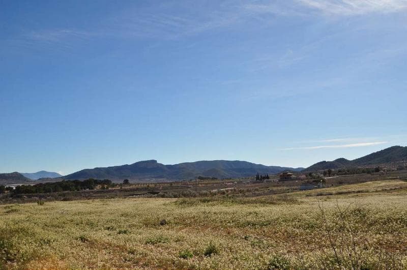 A parcel of land situated on the outskirts of the picturesque village of Chinorlet within walking distance to the local bars and restaurants and the village shop. the plot currently has a corral of 350m2 which is currently being used as a builders storage yard. Electric and water are available.We are specialists in the Costa Blanca and Costa Calida specialising in the Alicante and Murcia Inland regions with a particular emphasis on Elda, Pinoso, Aspe, Elche and surrounding areas. We are an established, well known and trusted company that has built a solid reputation amongst buyers and sellers since we began trading in 2004. We offer a complete service with no hidden charges or surprises, starting with sourcing the property, right through to completion, and an unrivalled after sales service which includes property management, building services, and general help and advice to make your new house a home. With a portfolio of well over 1400 properties for sale, we are confident that we can help, so just let us know your preferred property, budget and location, and we will do the rest.