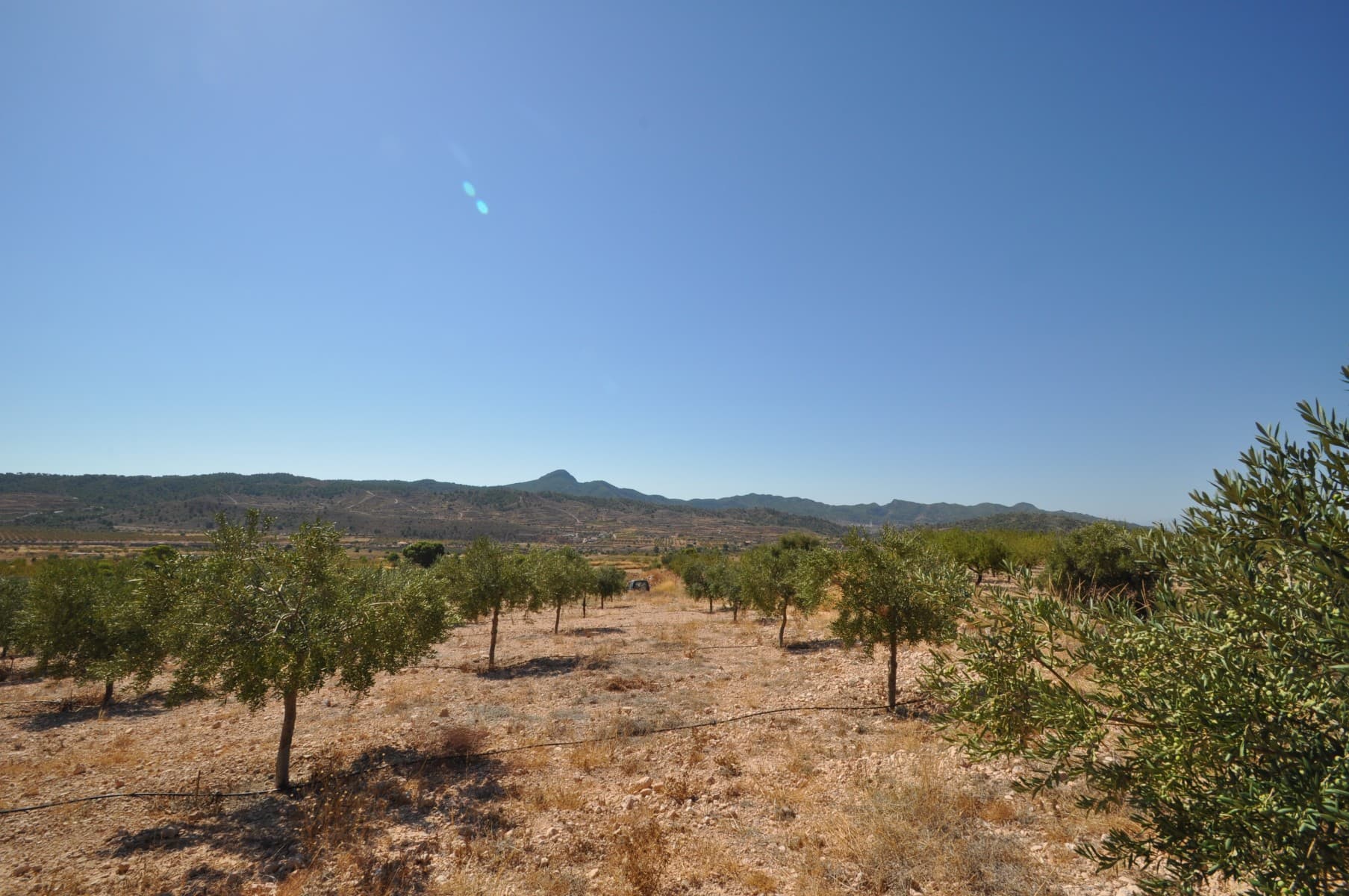 Increible oportunidad! Tiene preciosas vistas despejadas! Actualmente no tiene pero sí. agua de riego. Hay una casita para ser terminada. No dejes pasar esta oportunidad y contactanos para que organicemos una visita . Tenemos numerosas parcelas en las zonas. Somos especialistas en la Costa Blanca y Costa Calida especializados en las regiones del interior de Alicante y Murcia, con un énfasis particular en Elda, Pinoso, Aspe, Elche y las zonas circundantes. Somos una empresa establecida, reconocida y confiable que ha construido una sólida reputación entre compradores y vendedores desde que comenzamos a comercializar en 2004. Ofrecemos un servicio completo sin cargos ocultos ni sorpresas, comenzando con la adquisición de la propiedad, hasta su finalización. y un servicio de postventa incomparable que incluye administración de propiedades, servicios de construcción y ayuda y consejos generales para hacer de su nueva casa un hogar. Con una cartera de más de 1400 propiedades en venta, confiamos en que podemos ayudar, así que solo háganos saber su propiedad, presupuesto y ubicación preferidos, y nosotros haremos el resto.