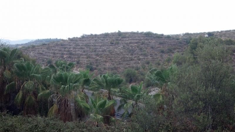 67,500 tierras rústicas en Salem, a 20km de Gandia. Propiedad de 2 compañías, por lo tanto, no responsable de AJD y IVA se pueden descontar si es comprada por otra empresaSomos especialistas en la Costa Blanca y Costa Cálida que se especializan en las regiones del interior de Alicante y Murcia con un énfasis particular en Elda, Pinoso, Aspe, Elche y las áreas circundantes. Somos una empresa establecida, bien conocida y confiable que ha construido una sólida reputación entre compradores y vendedores desde que comenzamos a comercializar en 2004. Ofrecemos un servicio completo sin cargos ocultos o sorpresas, comenzando con la compra de la propiedad, hasta la finalización, y un servicio posventa incomparable que incluye administración de propiedades, servicios de construcción y ayuda y consejos generales para que su nueva casa sea un hogar. Con una cartera de más de 1400 propiedades en venta, confiamos en que podemos ayudar, así que háganos saber su propiedad, presupuesto y ubicación preferidos, y nosotros haremos el resto.