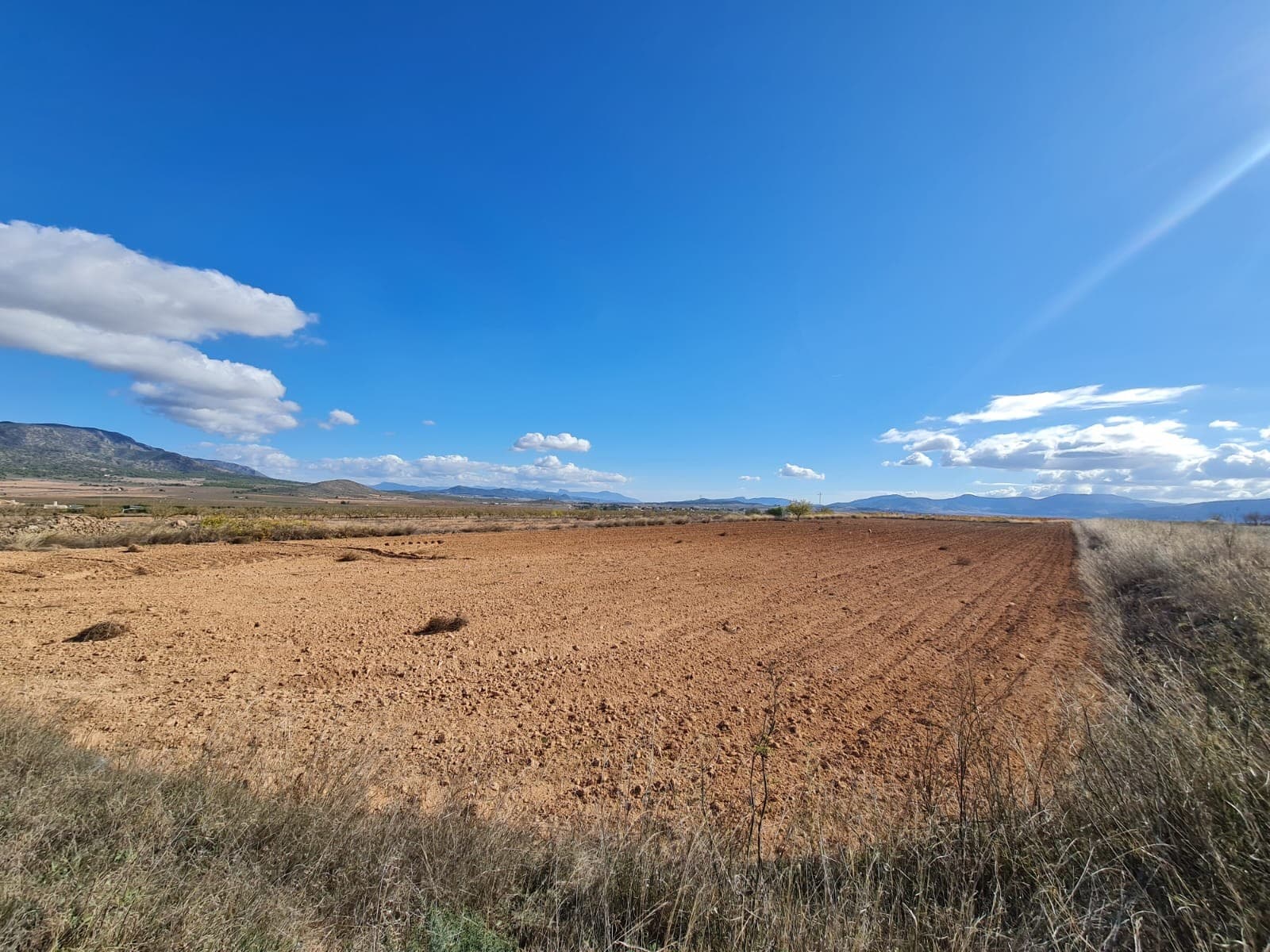 Parcela de terreno en venta en Abanilla con 15528m2 Disponemos de una amplia cartera de propiedades en las zonas de la Costa Blanca y la Costa Cálida, especializada en fincas, villas, fincas, solares edificables y opciones de diseño y construcción en las regiones de Alicante y Murcia, con especial énfasis en Elda, Monovar, Pinoso, Sax , Villena, Aspe, Fortuna, Albacete y muchos más alrededores. Estamos establecidos desde 2004 y tenemos décadas de experiencia entre el equipo que aportamos para ayudarlo a encontrar y asegurar la nueva casa de sus sueños. Te ayudamos en cada paso del camino para asegurarnos de que tu compra en España sea segura y sin complicaciones. No estamos aquí para venderle una propiedad, estamos aquí para ayudarlo a realizar su sueño y encontrar lo que es adecuado para usted. Con nosotros estás en las manos más seguras. Contáctenos ahora para tener una charla sin compromiso sobre cómo usted también puede realizar sus sueños.