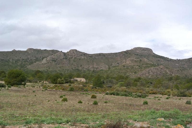 El precio es negociable: esta es una enorme parcela que inicialmente se compró para construir 2,500 casas y un campo de golf en esta deslumbrante región. Hay siete ruinas de casas incluidas en las escrituras que pueden ser restauradas o reconstruidas. Hay mucha vida salvaje, incluyendo jabalíes, conejos, perdiz, etc. Se encuentra en un valle cerrado rodeado de pinos, hierbas y arbustos silvestres. Hay un área de tiro de 12,000 m2 de renta para cazar con permiso para caza menor. Sería ideal para el inversor más grande.Somos especialistas en la Costa Blanca y Costa Cálida que se especializan en las regiones del interior de Alicante y Murcia con un énfasis particular en Elda, Pinoso, Aspe, Elche y las áreas circundantes. Somos una empresa establecida, bien conocida y confiable que ha construido una sólida reputación entre compradores y vendedores desde que comenzamos a comercializar en 2004. Ofrecemos un servicio completo sin cargos ocultos o sorpresas, comenzando con la compra de la propiedad, hasta la finalización, y un servicio posventa incomparable que incluye administración de propiedades, servicios de construcción y ayuda y consejos generales para que su nueva casa sea un hogar. Con una cartera de más de 1400 propiedades en venta, confiamos en que podemos ayudar, así que háganos saber su propiedad, presupuesto y ubicación preferidos, y nosotros haremos el resto.