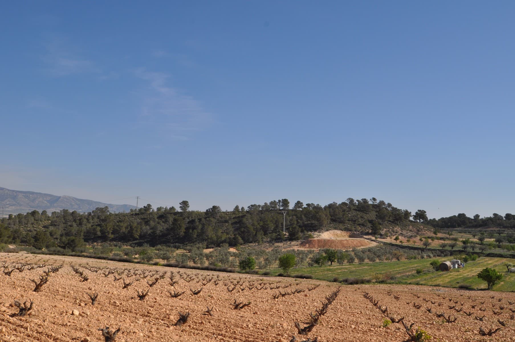 Esta parcela está ubicada en la impresionante ubicación de La zarza y se encuentra en el borde del Parque Nacional de Sierra De La Plia. Con una gran cantidad de pistas para caminar y andar en bicicleta en esta área, es popular entre los turistas y los lugareños por igual. Las parcelas vendrán con la confirmación por escrito del ayuntamiento de que las parcelas se pueden construir junto con la confirmación por escrito de que el agua y la electricidad son posibles para la parcela (cotizaciones también disponibles). En esta zona el ayuntamiento permite las siguientes edificaciones. Propiedades de un solo nivel hasta 250m2 y dos niveles de 200m2 y 200m2. Si este se ve y suena como la trama para usted, haga clic en el enlace a continuación para organizar su visualización hoy. Somos especialistas en la Costa Blanca y Costa Cálida con especialización en el interior de Alicante y Murcia con especial énfasis en Elda, Pinoso, Aspe, Elche y alrededores. Somos una empresa establecida, bien conocida y de confianza que ha construido una sólida reputación entre compradores y vendedores desde que comenzamos a comercializar en 2004. Ofrecemos un servicio completo sin cargos ocultos ni sorpresas, comenzando con el abastecimiento de la propiedad, hasta su finalización. y un servicio postventa inigualable que incluye administración de propiedades, servicios de construcción y ayuda y asesoramiento general para hacer de su nueva casa un hogar. Con una cartera de más de 1400 propiedades a la venta, estamos seguros de que podemos ayudar, así que háganos saber su propiedad preferida, presupuesto y ubicación, y nosotros haremos el resto.