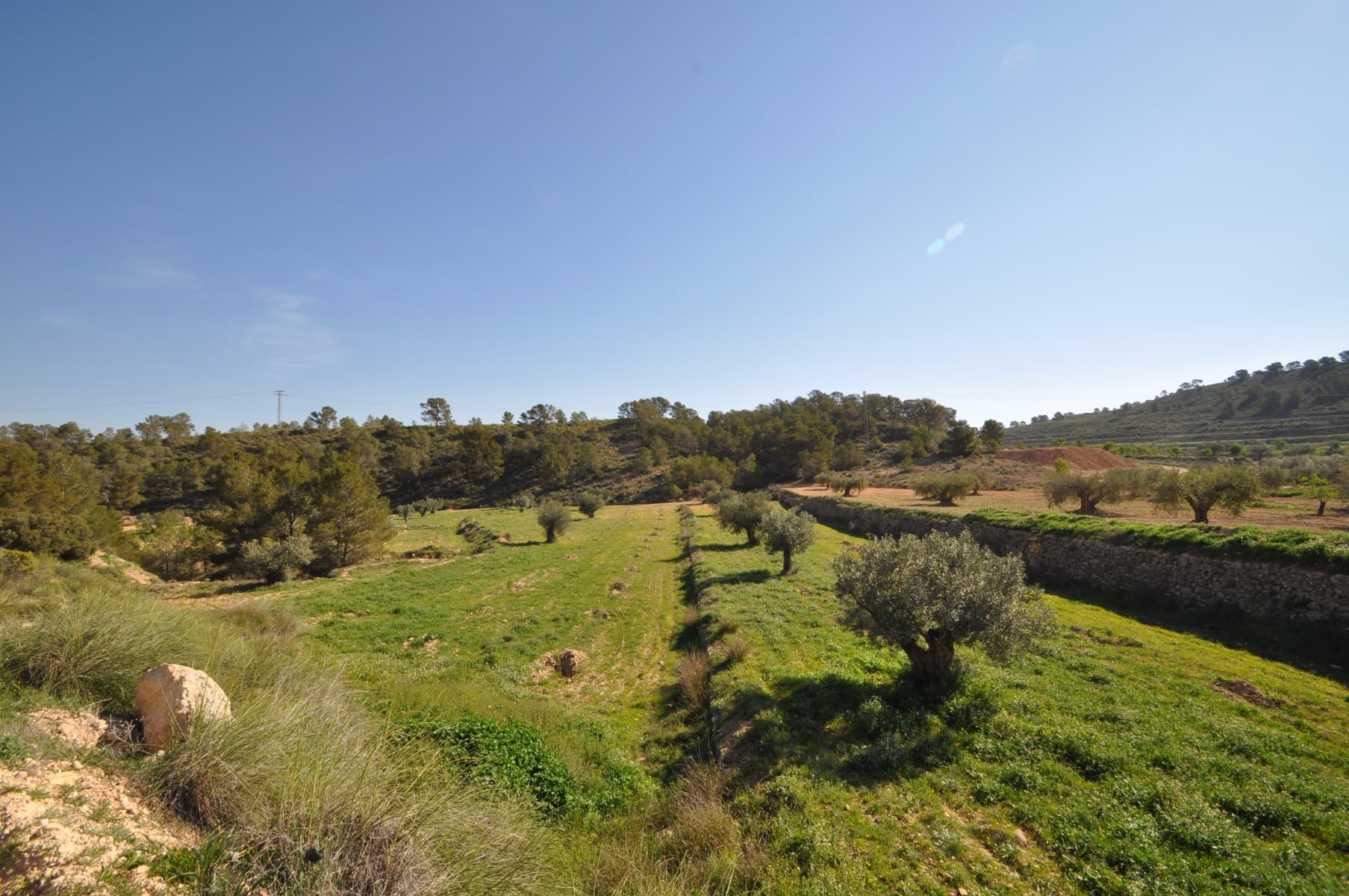 Esta parcela se encuentra en la impresionante ubicación de La Zarza y se encuentra en el borde del Parque Nacional de Sierra De La Plia. Con abundantes pistas para caminar y andar en bicicleta en esta área, es popular entre los turistas y los lugareños por igual. La parcela está ubicada en un valle y tiene olivos maduros, así como parte de una colina cubierta de pinos. El suelo es rico y fértil y al establecerse en el valle se obtiene agua natural de las colinas circundantes. Una zona de gran belleza ubicada aproximadamente a 15 minutos del pueblo de Pinoso. Si este se ve y suena como la trama para usted, haga clic en el enlace a continuación para organizar su visualización hoy. Somos especialistas en la Costa Blanca y Costa Cálida con especialización en las regiones de interior de Alicante y Murcia con especial énfasis en Elda, Pinoso, Aspe, Elche y alrededores. Somos una empresa establecida, bien conocida y de confianza que ha construido una sólida reputación entre compradores y vendedores desde que comenzamos a comercializar en 2004. Ofrecemos un servicio completo sin cargos ocultos ni sorpresas, comenzando con el suministro de la propiedad, hasta su finalización. y un servicio postventa inigualable que incluye administración de propiedades, servicios de construcción y ayuda y asesoramiento general para hacer de su nueva casa un hogar. Con una cartera de más de 1400 propiedades a la venta, estamos seguros de que podemos ayudar, así que háganos saber su propiedad, presupuesto y ubicación preferidos, y nosotros haremos el resto.