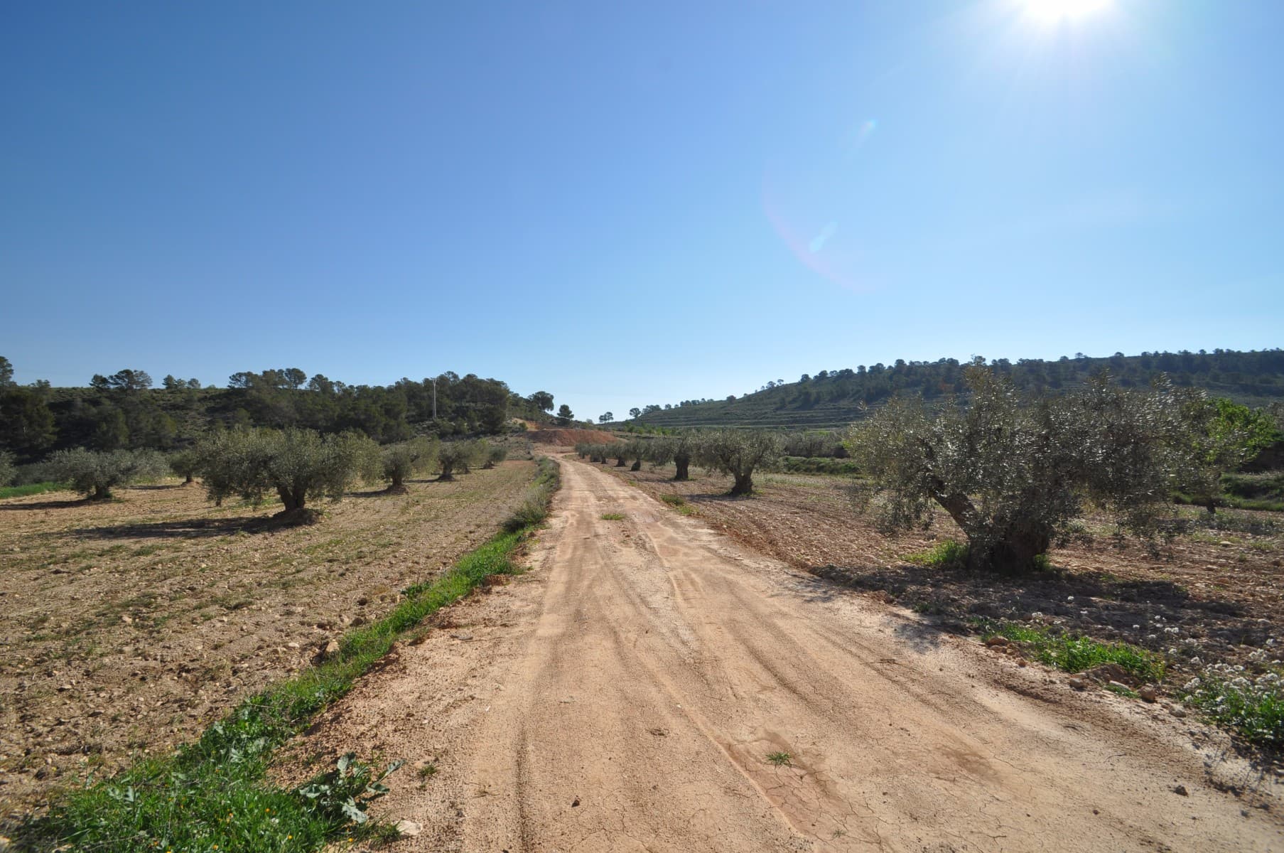 Esta parcela está ubicada en la impresionante ubicación de La zarza y se encuentra en el borde del Parque Nacional de Sierra De La Plia. Con una gran cantidad de pistas para caminar y andar en bicicleta en esta área, es popular entre los turistas y los lugareños por igual. Las parcelas vendrán con la confirmación por escrito del ayuntamiento de que las parcelas se pueden construir junto con la confirmación por escrito de que el agua y la electricidad son posibles para la parcela (cotizaciones también disponibles). En esta zona el ayuntamiento permite las siguientes edificaciones. Propiedades de un solo nivel hasta 250m2 y dos niveles de 200m2 y 200m2. Si este se ve y suena como la trama para usted, haga clic en el enlace a continuación para organizar su visualización hoy. Somos especialistas en la Costa Blanca y Costa Cálida con especialización en el interior de Alicante y Murcia con especial énfasis en Elda, Pinoso, Aspe, Elche y alrededores. Somos una empresa establecida, bien conocida y de confianza que ha construido una sólida reputación entre compradores y vendedores desde que comenzamos a comercializar en 2004. Ofrecemos un servicio completo sin cargos ocultos ni sorpresas, comenzando con el abastecimiento de la propiedad, hasta su finalización. y un servicio postventa inigualable que incluye administración de propiedades, servicios de construcción y ayuda y asesoramiento general para hacer de su nueva casa un hogar. Con una cartera de más de 1400 propiedades a la venta, estamos seguros de que podemos ayudar, así que háganos saber su propiedad preferida, presupuesto y ubicación, y nosotros haremos el resto.