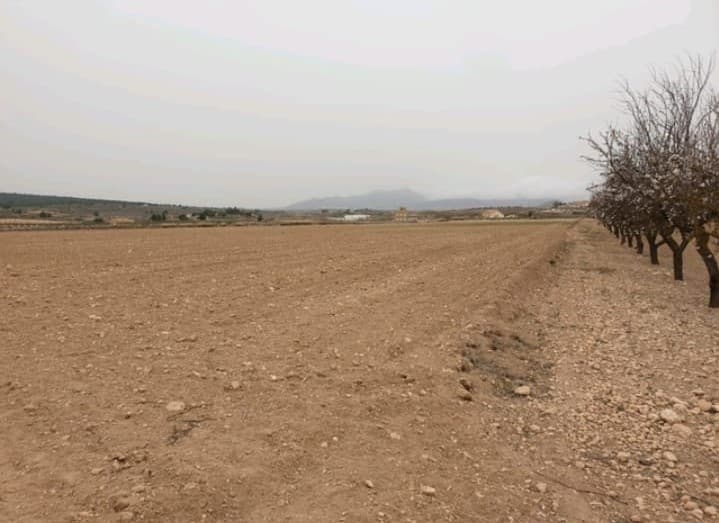 Una oportunidad para adquirir una parcela de gran valor ubicada a las afueras del pueblo de Úbeda, Pinoso. La parcela tiene algo más de 21.838 m² en una bonita parcela llana ideal para edificar y también para tener caballos. La propiedad se entrega con agua de riego incluida en el precio. No hay electricidad, pero tenemos proveedores competitivos para sistemas solares que pueden proporcionar un sistema de 5000 W suministrado y equipado por 7000 €. En esta área se puede construir el 2% del tamaño de la parcela agregar dos niveles, esto significa que se puede construir una casa de aproximadamente 800 metros cuadrados en 2 niveles. Vivimos y trabajamos en el área desde 2004 y, como tal, tenemos una excelente red de contactos que incluye arquitectos, constructores, comerciantes, etc. Estamos aquí para ayudarlo en cada paso del camino para diseñar y construir la nueva casa de sus sueños. Nos aseguramos de que todo el proceso sea fluido y sin complicaciones, lo que le brinda total tranquilidad. Con nosotros estás en buenas manos. Si desea saber más sobre esta parcela o nuestros servicios de diseño y construcción, no dude en ponerse en contacto. Con varios constructores y parcelas para elegir, estamos seguros de ayudarlo a crear su nuevo momento perfecto. Contáctenos ahora para ver esta y otras parcelas de construcción potenciales para su nuevo proyecto. Somos especialistas en la Costa Blanca y Costa Cálida con especialización en las regiones del Interior de Alicante y Murcia con especial énfasis en Elda, Pinoso, Aspe, Elche y alrededores. Somos una empresa establecida, bien conocida y de confianza que ha construido una sólida reputación entre compradores y vendedores desde que comenzamos a operar en 2004. Ofrecemos un servicio completo sin cargos ocultos ni sorpresas, desde el abastecimiento de la propiedad hasta su finalización. y un servicio postventa inigualable que incluye administración de propiedades, servicios de construcción y ayuda y asesoramiento general para hacer de su nueva casa un hogar. Con una cartera de más de 1400 propiedades en venta, estamos seguros de que podemos ayudar, así que háganos saber su propiedad preferida, presupuesto y ubicación, y nosotros haremos el resto.