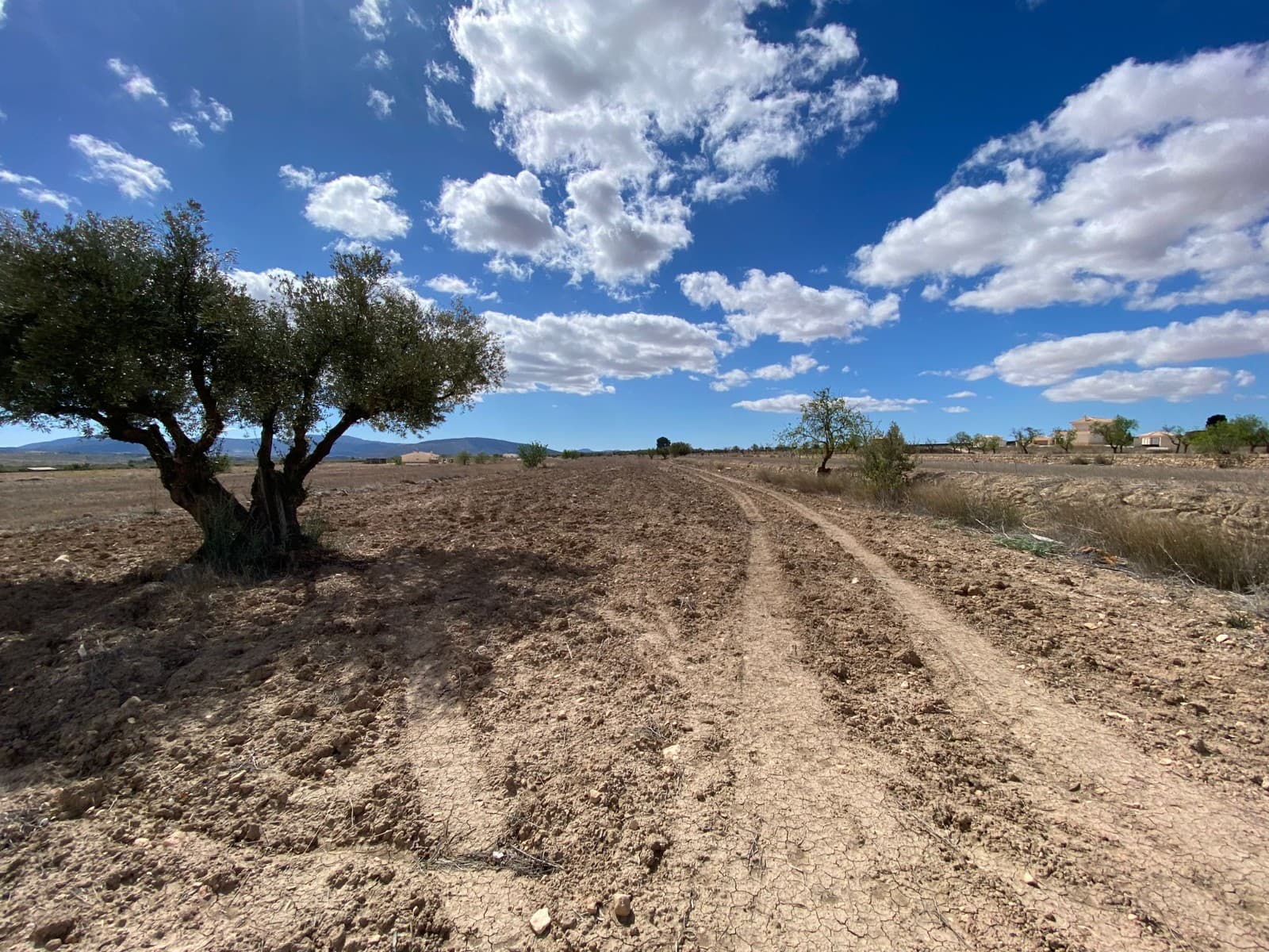 Presentamos una excelente parcela de terreno que abarca 12.797 metros cuadrados, con agua de riego conectada para fines agrícolas. Además, la posibilidad de conectar agua potable y electricidad añade mayor comodidad y versatilidad a esta propiedad. Con potencial para construir hasta el 2% del terreno, esta parcela ofrece interesantes oportunidades para proyectos de desarrollo o construcción. Ya sea que imagine construir la casa de sus sueños o cultivar actividades agrícolas, este terreno brinda amplio espacio y recursos para hacer realidad su visión. Tenemos una gran cartera de propiedades en las zonas de la Costa Blanca y Costa Cálida, especializándonos en propiedades de campo, villas, fincas, solares edificables y opciones de diseño y construcción en las regiones de Alicante y Murcia con especial énfasis en Elda, Monovar, Pinoso, Sax. , Villena, Aspe, Fortuna, Albacete y muchas más zonas de los alrededores. Nos establecimos desde 2004 y contamos con décadas de experiencia en el equipo que aportamos para ayudarlo a encontrar y asegurar la nueva casa de sus sueños. Te ayudamos en cada paso del camino para asegurarnos de que tu compra en España sea segura y sin complicaciones. No estamos aquí para venderle una propiedad, estamos aquí para ayudarlo a realizar su sueño y encontrar lo que es adecuado para usted. Con nosotros estás en las manos más seguras. Contáctanos ahora para conversar sin compromiso sobre cómo tú también puedes hacer realidad tus sueños.