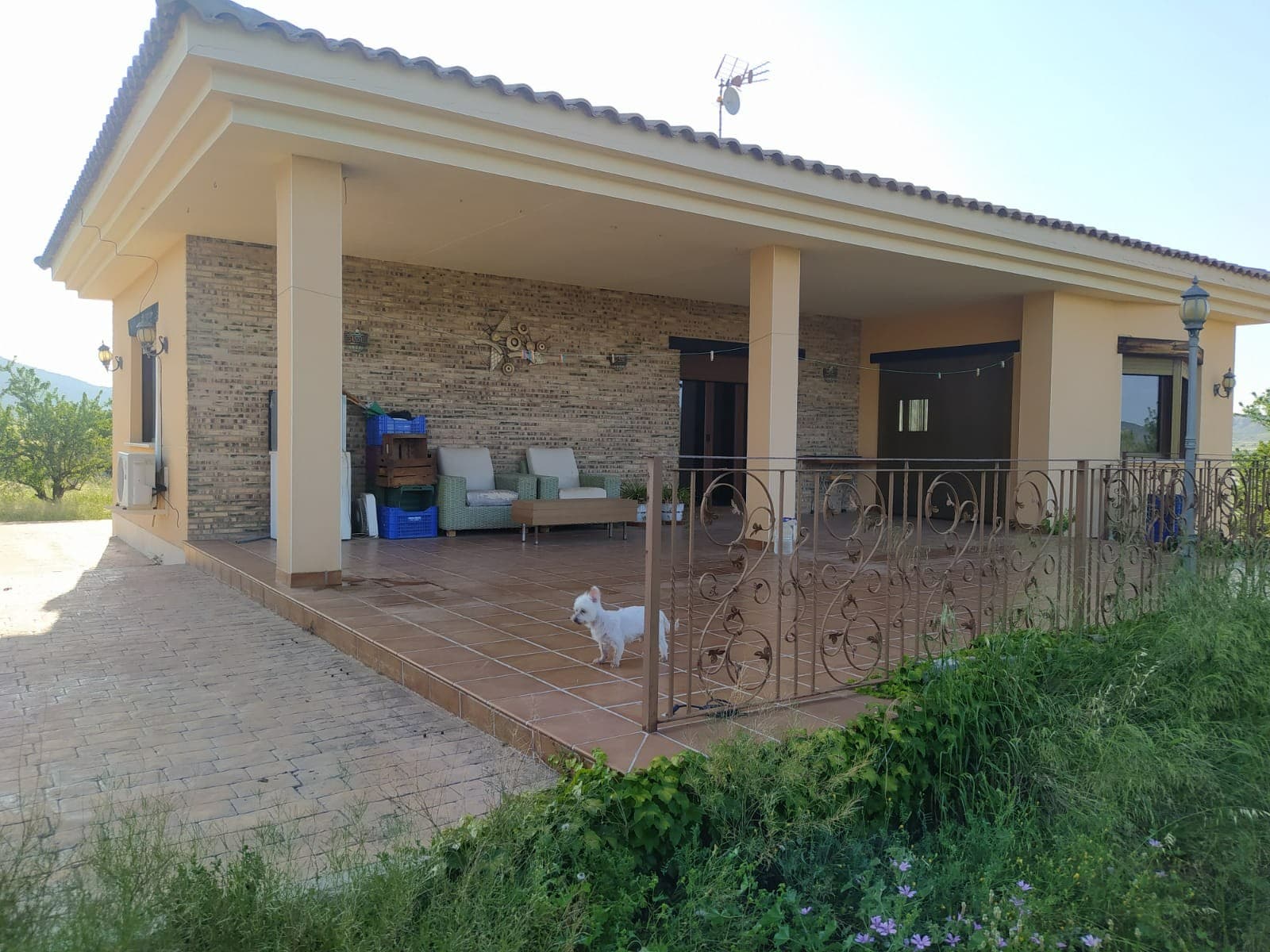 Presentamos una impresionante villa ubicada en la pintoresca región de Yecla, Murcia, esta propiedad excepcional ofrece una combinación armoniosa de confort moderno y belleza natural. Con 137 metros cuadrados de espacio habitable ubicados en una extensa parcela vallada de 5.060 metros cuadrados, esta villa ofrece un oasis de serenidad y lujo. Al entrar, lo recibirá un interior meticulosamente diseñado que cuenta con dos amplios dormitorios, uno de los cuales incluye un lujoso vestidor. La villa también cuenta con dos baños bellamente decorados, uno de ellos con un lujoso jacuzzi con capacidad para seis personas, perfecto para relajarse después de un largo día. El interior está adornado con carpintería de pino, aportando calidez y carácter al espacio, mientras que la carpintería exterior de doble acristalamiento oscilobatiente garantiza atractivo estético y eficiencia energética. Las ventanas motorizadas ofrecen comodidad con solo tocar un botón, integrando perfectamente la tecnología en la vida cotidiana. Entretenga a los invitados y disfrute de una cena al aire libre en la zona de barbacoa de la villa, o relájese junto a la chimenea en las noches más frescas. La propiedad está equipada con aire acondicionado y calefacción por suelo radiante, proporcionando confort durante todo el año. El acceso a la villa se realiza sin esfuerzo mediante puertas eléctricas y un camino asfaltado que conduce directamente a la puerta. La propiedad también cuenta con accesibilidad para personas discapacitadas, lo que garantiza la inclusión para todos. Para los entusiastas de la jardinería, hay un punto de agua de riego en la propiedad, lo que facilita el mantenimiento del exuberante entorno. La iluminación eléctrica ilumina el exterior, mejorando el ambiente de los espacios exteriores. Esta villa presenta una oportunidad incomparable para disfrutar de una vida de lujo en medio de la tranquila belleza de Yecla, Murcia. No pierda la oportunidad de hacer suya esta exquisita propiedad.
