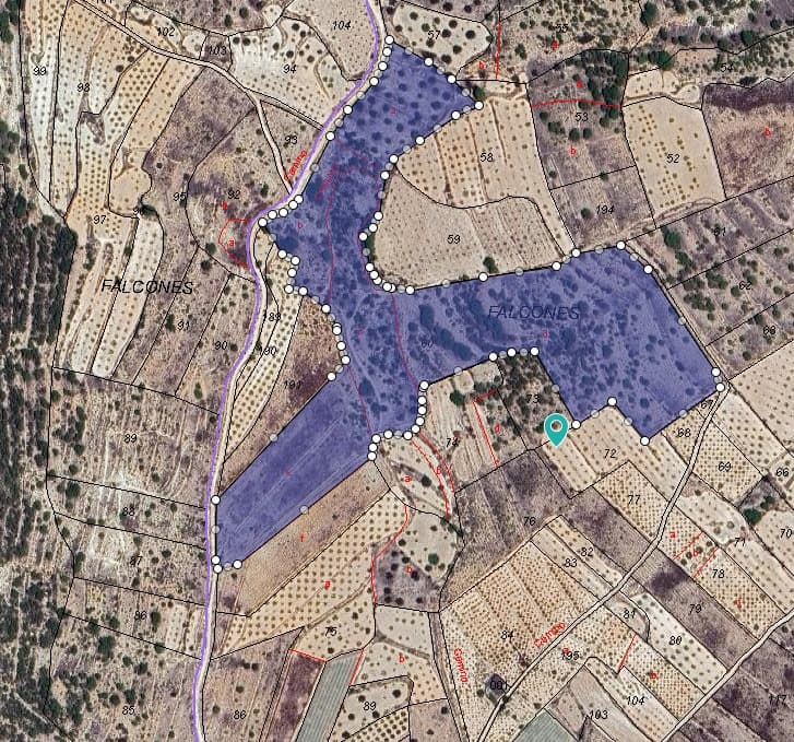 ¡Bienvenido a una oportunidad incomparable en el corazón del campo! Este amplio terreno abarca unos impresionantes 64.796 metros cuadrados, lo que proporciona un amplio lienzo para sus aspiraciones. Con un espacio tan generoso a su disposición, el potencial de desarrollo es prácticamente ilimitado. Ya sea que sueñe con construir una residencia privada rodeada de naturaleza, establecer un emprendimiento agrícola o crear un emprendimiento comercial, este terreno ofrece infinitas posibilidades. Ubicada en un ambiente sereno, esta propiedad ofrece un retiro tranquilo del ajetreo y el bullicio de la vida de la ciudad y al mismo tiempo es convenientemente accesible. No pierda la oportunidad de transformar este extenso paisaje en su propio santuario: programe una visita hoy y descubra el potencial de esta extraordinaria tierra. Tenemos una gran cartera de propiedades en las zonas de la Costa Blanca y Costa Cálida, especializándonos en propiedades de campo, villas, fincas, solares edificables y opciones de diseño y construcción en las regiones de Alicante y Murcia con especial énfasis en Elda, Monovar, Pinoso, Sax. , Villena, Aspe, Fortuna, Albacete y muchas más zonas de los alrededores. Nos establecimos desde 2004 y contamos con décadas de experiencia en el equipo que aportamos para ayudarlo a encontrar y asegurar la nueva casa de sus sueños. Te ayudamos en cada paso del camino para asegurarnos de que tu compra en España sea segura y sin complicaciones. No estamos aquí para venderle una propiedad, estamos aquí para ayudarlo a realizar su sueño y encontrar lo que es adecuado para usted. Con nosotros estás en las manos más seguras. Contáctanos ahora para tener una charla sin compromiso sobre cómo tú también puedes hacer realidad tus sueños.