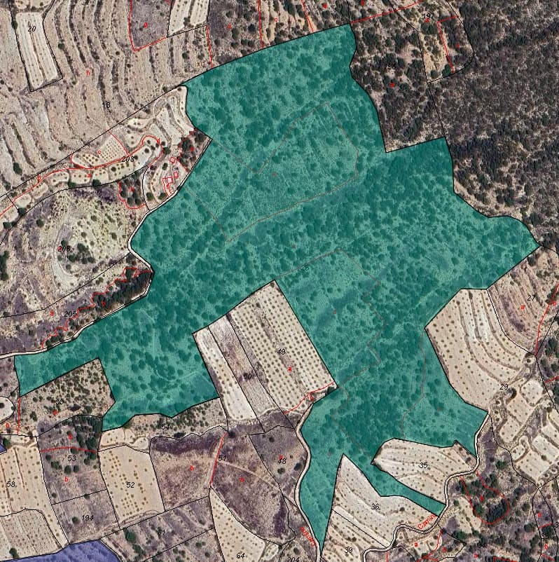 ¡Presentamos una oportunidad excepcional en el corazón de la tranquilidad rural! Esta amplia parcela de terreno cubre unos impresionantes 189.880 metros cuadrados y ofrece un vasto lienzo para diversos proyectos. Con su tamaño sustancial, este terreno tiene un potencial infinito para el desarrollo. Ya sea que imagine crear una propiedad aislada en medio del paisaje natural, establecer operaciones agrícolas o emprender proyectos comerciales, esta propiedad sienta las bases para sus ambiciones. Ubicado en un entorno sereno, este terreno ofrece un escape pacífico de la vida urbana sin dejar de ser convenientemente accesible. Aproveche la oportunidad de convertir esta extensa extensión en su propio refugio: reserve una visita hoy y explore las posibilidades ilimitadas de esta extraordinaria tierra. Tenemos una gran cartera de propiedades en las zonas de la Costa Blanca y Costa Cálida, especializándonos en propiedades de campo, villas, fincas, solares edificables y opciones de diseño y construcción en las regiones de Alicante y Murcia con especial énfasis en Elda, Monovar, Pinoso, Sax. , Villena, Aspe, Fortuna, Albacete y muchas más zonas de los alrededores. Nos establecimos desde 2004 y contamos con décadas de experiencia en el equipo que aportamos para ayudarlo a encontrar y asegurar la nueva casa de sus sueños. Te ayudamos en cada paso del camino para asegurarnos de que tu compra en España sea segura y sin complicaciones. No estamos aquí para venderle una propiedad, estamos aquí para ayudarlo a realizar su sueño y encontrar lo que es adecuado para usted. Con nosotros estás en las manos más seguras. Contáctanos ahora para conversar sin compromiso sobre cómo tú también puedes hacer realidad tus sueños.
