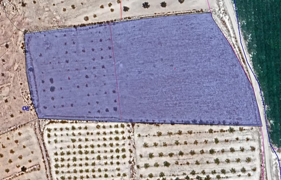 ¡Bienvenido a una oportunidad única en el corazón de un paisaje exuberante! Esta amplia parcela de terreno abarca unos impresionantes 14.350 metros cuadrados, lo que proporciona un amplio espacio para que sus sueños echen raíces. Situada en un entorno sereno, esta propiedad cuenta con la inestimable adición de agua de riego, lo que garantiza que sus ambiciones paisajísticas puedan florecer sin esfuerzo. Con las regulaciones de zonificación que permiten la construcción en el 2% del terreno, usted tiene el potencial de crear una residencia a medida o establecer una empresa comercial que armonice con el entorno natural. Ya sea que imagine un retiro privado rodeado de naturaleza o una empresa agrícola a pequeña escala, las posibilidades son tan amplias como el terreno mismo. Descubra la libertad de diseñar y cultivar su propio santuario en este entorno idílico. No pierda esta oportunidad de asegurarse su porción de paraíso rural: ¡programe una visita hoy y deje volar su imaginación! Tenemos una gran cartera de propiedades en las zonas de la Costa Blanca y Costa Cálida, especializándonos en propiedades de campo, villas, fincas, solares edificables y opciones de diseño y construcción en las regiones de Alicante y Murcia con especial énfasis en Elda, Monovar, Pinoso, Sax. , Villena, Aspe, Fortuna, Albacete y muchas más zonas de los alrededores. Nos establecimos desde 2004 y contamos con décadas de experiencia en el equipo que aportamos para ayudarlo a encontrar y asegurar la nueva casa de sus sueños. Te ayudamos en cada paso del camino para asegurarnos de que tu compra en España sea segura y sin complicaciones. No estamos aquí para venderle una propiedad, estamos aquí para ayudarlo a realizar su sueño y encontrar lo que es adecuado para usted. Con nosotros estás en las manos más seguras. Contáctanos ahora para conversar sin compromiso sobre cómo tú también puedes hacer realidad tus sueños.