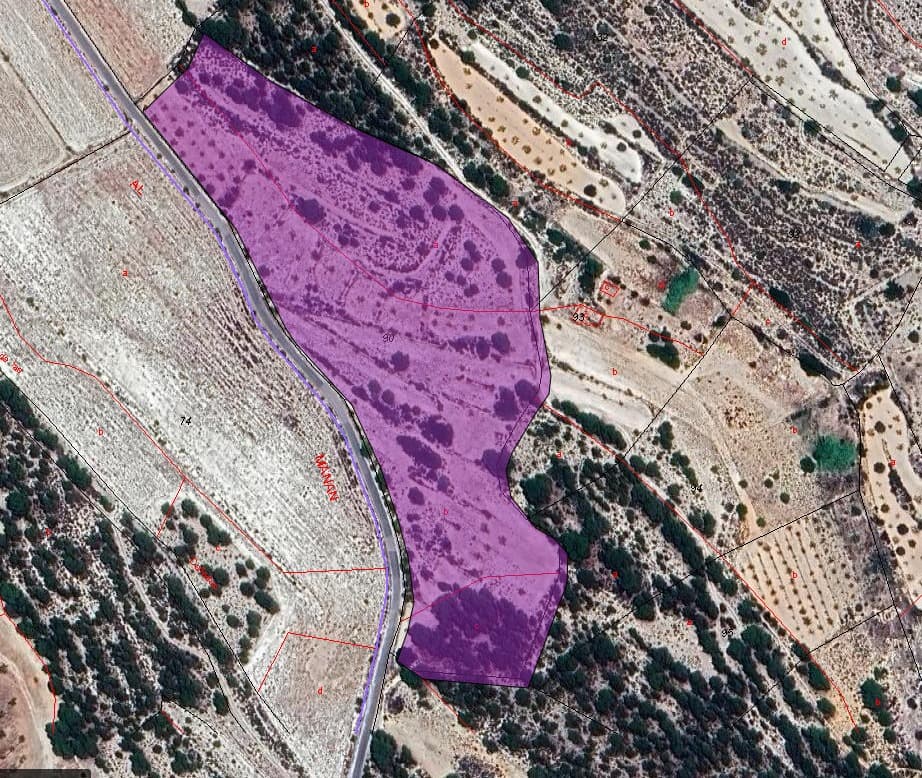 ¡Bienvenido a una oportunidad única en el corazón de un paisaje exuberante! Esta amplia parcela de terreno abarca unos impresionantes 14.350 metros cuadrados, lo que proporciona un amplio espacio para que sus sueños echen raíces. Situada en un entorno sereno, esta propiedad cuenta con la inestimable adición de agua de riego, lo que garantiza que sus ambiciones paisajísticas puedan florecer sin esfuerzo. Con las regulaciones de zonificación que permiten la construcción en el 2% del terreno, usted tiene el potencial de crear una residencia a medida o establecer una empresa comercial que armonice con el entorno natural. Ya sea que imagine un retiro privado rodeado de naturaleza o una empresa agrícola a pequeña escala, las posibilidades son tan amplias como el terreno mismo. Descubra la libertad de diseñar y cultivar su propio santuario en este entorno idílico. No pierda esta oportunidad de asegurarse su porción de paraíso rural: ¡programe una visita hoy y deje volar su imaginación! Tenemos una gran cartera de propiedades en las zonas de la Costa Blanca y Costa Cálida, especializándonos en propiedades de campo, villas, fincas, solares edificables y opciones de diseño y construcción en las regiones de Alicante y Murcia con especial énfasis en Elda, Monovar, Pinoso, Sax. , Villena, Aspe, Fortuna, Albacete y muchas más zonas de los alrededores. Nos establecimos desde 2004 y contamos con décadas de experiencia en el equipo que aportamos para ayudarlo a encontrar y asegurar la nueva casa de sus sueños. Te ayudamos en cada paso del camino para asegurarnos de que tu compra en España sea segura y sin complicaciones. No estamos aquí para venderle una propiedad, estamos aquí para ayudarlo a realizar su sueño y encontrar lo que es adecuado para usted. Con nosotros estás en las manos más seguras. Contáctanos ahora para conversar sin compromiso sobre cómo tú también puedes hacer realidad tus sueños.