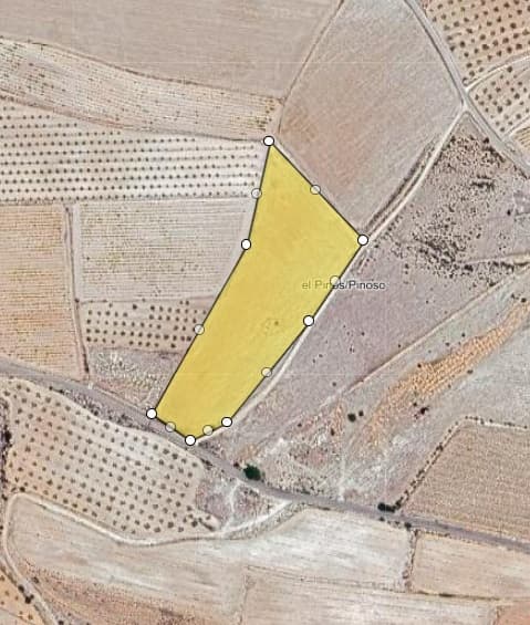 Esta amplia parcela de 13.863 m² ofrece vistas impresionantes y se encuentra a solo 10 minutos del pueblo de Pinoso. El terreno cuenta con hermosos almendros y ofrece un entorno tranquilo rodeado de belleza natural. Con una deducción edificable del 2%, puede desarrollar hasta dos niveles, lo que la hace perfecta para construir la casa de sus sueños o una propiedad de inversión. La ubicación ofrece un fácil acceso a los servicios locales y, al mismo tiempo, le permite disfrutar de la privacidad y el encanto de la vida en el campo. Si te ha gustado esta propiedad no dudes en contactarnos para organizar una visita, estaremos encantados de ayudarte!
