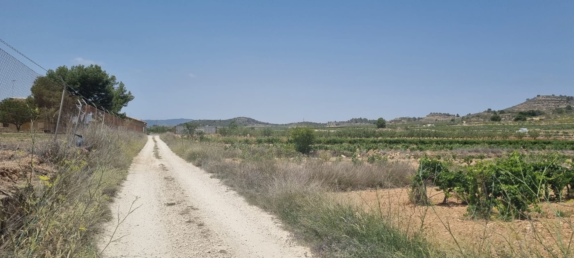 Preciosa parcela ubicada a unos 5 minutos del pueblo de Pinoso, con preciosas vistas a los viñedos, huertos y al Parque Regional de los alrededores. El precio incluye agua de riego, suministrada con la presión de la red, que puede utilizarse para lavar, bañarse, limpiar, etc. Oficialmente, no está permitida su consumo, aunque muchos clientes han instalado un sistema de ósmosis con filtro UV para potabilizarla. En Pinoso podrás encontrar todos los servicios para el día a día, incluyendo bares, restaurantes, centro médico 24 horas con servicio de ambulancia, supermercados, colegios, bodegas de vino y mucho más. Llevamos 20 años diseñando y construyendo casas en la zona, por lo que contamos con un amplio conocimiento y experiencia que podemos aportar para ayudarle a hacer realidad la casa de sus sueños. Estamos aquí para ayudarle tanto como necesite, desde la compra del terreno hasta la construcción y entrega de la casa de sus sueños. Le acompañamos en cada paso del proceso para asegurarnos de que haga realidad su sueño dentro del plazo y del presupuesto. Contamos con nuestro propio constructor interno que puede realizar el trabajo por usted. Sin embargo, no está sujeto a nosotros en ningún caso, ya que trabajamos con todos los constructores de la zona, lo que le ofrece total flexibilidad y opciones. Además, si decide construir con otro constructor, ofrecemos un servicio de gestión de proyectos si lo necesita. Si desea ver esta parcela u otras parcelas edificables que tenemos en nuestros libros, no dude en ponerse en contacto con nosotros: con nosotros estará en las mejores manos.