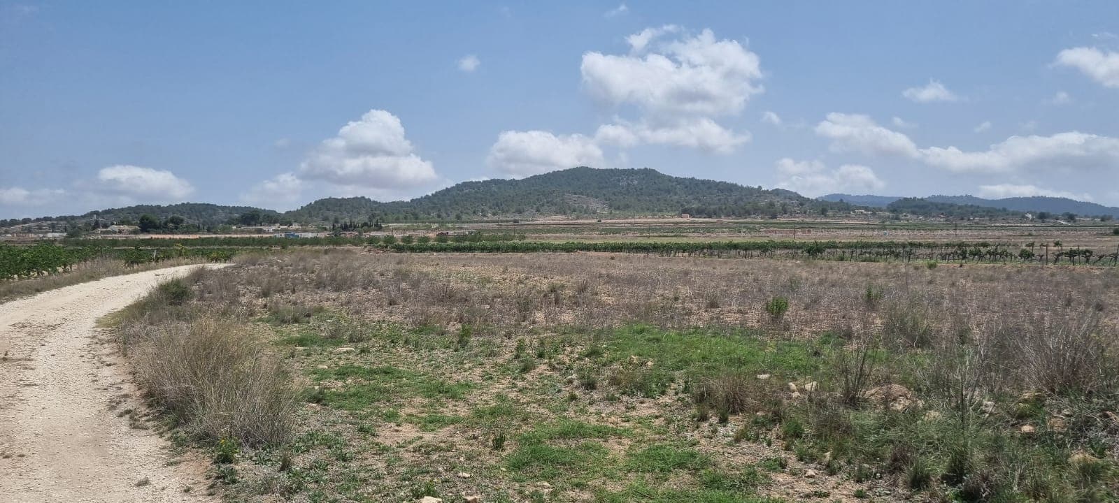 Preciosa parcela situada aproximadamente a 5 minutos del pueblo de Pinoso que ofrece hermosas vistas sobre los viñedos circundantes y el Parque Regional. La parcela viene con agua de riego incluida en el precio, se entrega con presión de la red y se puede usar para lavar, bañar, limpiar, etc. Oficialmente no está permitido beberla, aunque muchos clientes han instalado un sistema de ósmosis con un filtro UV para para cambiarlo a uso potable. La parcela viene con un certificado que confirma que se puede construir. En esta zona se puede construir el 2% del tamaño de la parcela y se pueden subir dos niveles. En pinoso puede encontrar todas las instalaciones del día a día, incluidos bares, restaurantes, centro médico las 24 horas con servicio de ambulancia, supermercados, colegios, bodegas de vino y mucho más. Llevamos 20 años diseñando y construyendo casas en la zona, por lo que tenemos un gran conocimiento y experiencia que podemos aportar para ayudarle a realizar la nueva casa de sus sueños. Estamos aquí para ayudarlo tanto o tan poco como necesite, ya sea simplemente comprar el terreno o construir y entregar la nueva casa de sus sueños. Podemos ayudarlo y guiarlo en cada paso del camino para asegurarnos de que haga realidad sus sueños. Sueña con tiempo y presupuesto. Contamos con nuestro propio constructor interno que puede hacer el trabajo por usted. Sin embargo, usted no depende de nosotros de ninguna manera, ya que trabajamos con todos los constructores de la zona, lo que le brinda total flexibilidad y elección. Además, si decide construir con otro constructor, le ofrecemos un servicio de gestión de proyectos en caso de que lo necesite. Si desea ver esta parcela u otras parcelas edificables que tenemos en nuestros libros, no dude en ponerse en contacto: con nosotros estará en las manos más seguras. Esperamos poder ayudarle a realizar la nueva casa de sus sueños.
