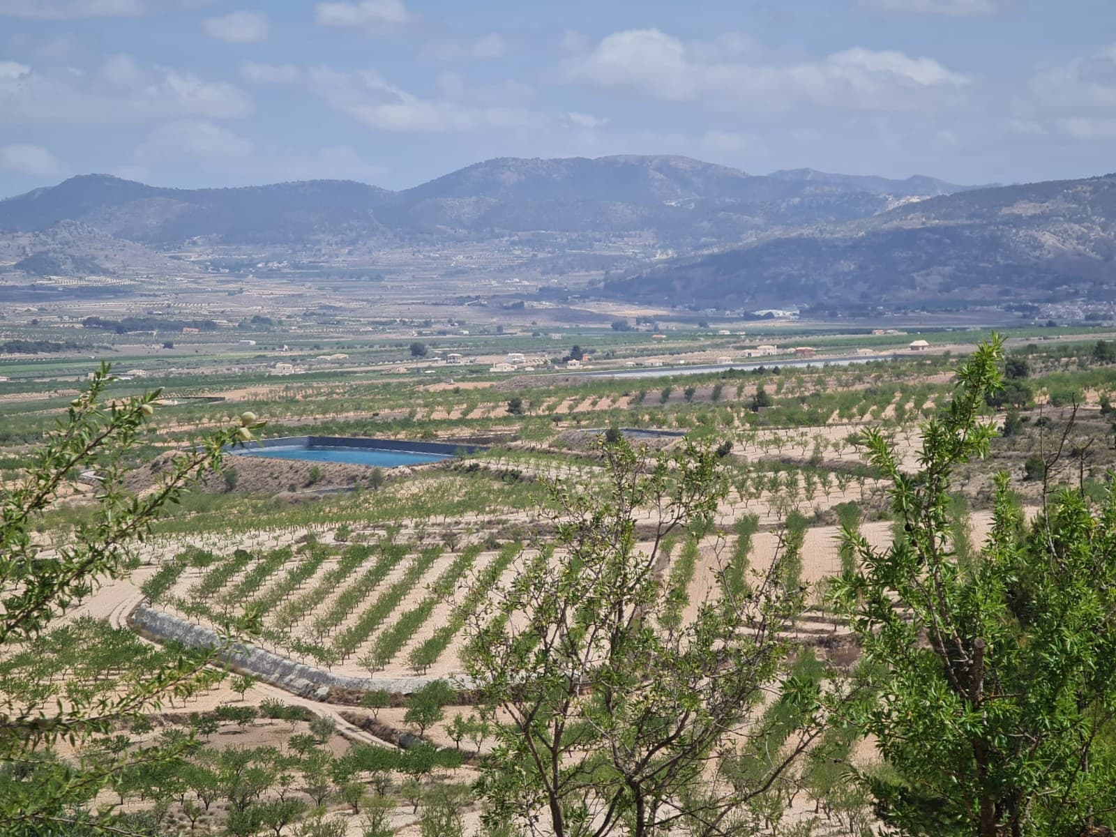 Estupenda parcela urbanizable en zona sin explotación minera y con excelente paisajismo 360º. No tiene luz ni agua pero a día de hoy no es problema porque se le puede instalar un depósito de agua y un generador para autoabastecerse. Colinda con vía pública en buen estado y bosque público. Es una zona muy tranquila, ideal para pasear solo o con animales, en bicicleta, moto, coche... Se puede instalar una casa de madera, prefabricada o una caravana. - Plantada de almendros. La parcela se encuentra a 2km del pueblo de Raspay y todos los servicios se encuentran en Pinoso, a tan solo 7km. Es el lugar perfecto para instalarse en un entorno rural y tranquilo sin dejar todos los servicios que podamos necesitar en algún momento. Disponemos de una amplia cartera de propiedades en las zonas de la Costa Blanca y la Costa Cálida, especializada en fincas, villas, fincas, solares edificables y opciones de diseño y construcción en las regiones de Alicante y Murcia, con especial énfasis en Elda, Monovar, Pinoso, Sax , Villena, Aspe, Fortuna, Albacete y muchos más alrededores. Estamos establecidos desde 2004 y tenemos décadas de experiencia entre el equipo que ponemos a su disposición para ayudarlo a encontrar y asegurar la nueva casa de sus sueños. Lo ayudamos en cada paso del camino para asegurarnos de que su compra en España sea segura y sin problemas. .No estamos aquí para venderle una propiedad, estamos aquí para ayudarlo a realizar su sueño y encontrar lo que es adecuado para usted. Con nosotros, está en las manos más seguras. Contáctenos ahora para tener una conversación sin compromiso sobre cómo usted también puede realizar sus sueños.