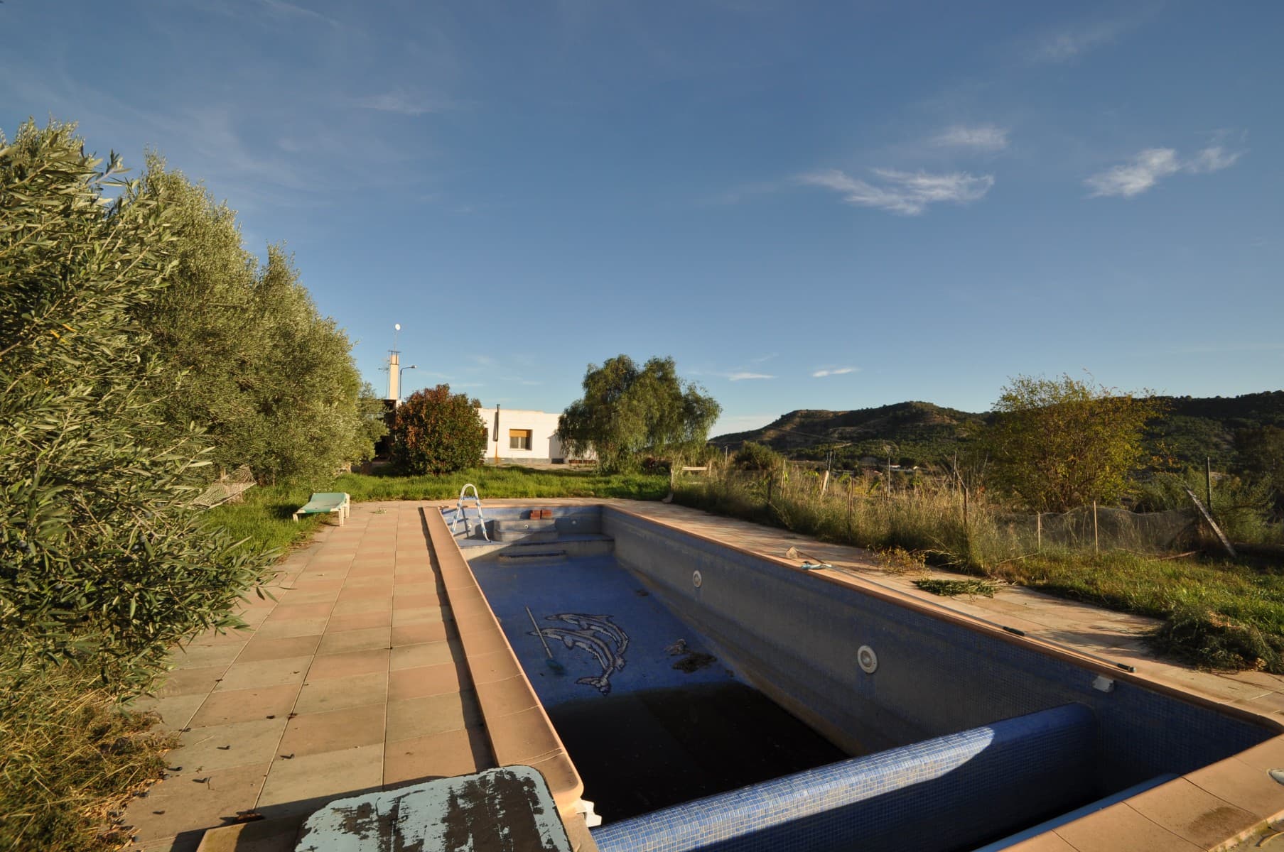 Esta casa de campo ubicada en las montañas, es completamente llana y accesible para todos. La casa principal tiene 5 dormitorios en total, y hay uno más en la casa de huéspedes. Espacio más que suficiente además de una piscina para cultivar lo que se te ocurra en tu propio jardín. Mientras estés rodeado de la zona verde, estará completamente conectado con la naturaleza, y podrás relajarte por completo bajo el sol español, Con algunos ajustes tendrás tu propia piscina aquí en España. Esta sería una casa de vacaciones perfecta, para que cualquiera pueda alejarse de la ajetreada vida de la ciudad. Nuestra empresa también se especializa en diseño y construcción, y tenemos acceso a una gran cantidad de arquitectos, constructores, comerciantes y, como tales, podemos ayudarlo en cada paso del camino. Si tiene alguna pregunta o desea hacer arreglos para verlos, no dude en ponerse en contacto. Esperamos saber de usted pronto. Disponemos de una amplia cartera de propiedades en las zonas de la Costa Blanca y la Costa Cálida , especializándonos en fincas rústicas, villas, fincas , solares edificables y opciones de diseño y construcción en las regiones de Alicante y Murcia, con especial énfasis en Elda, Monovar , Pinoso , Sax , Villena , Aspe , Fortuna , Albacete y muchos más alrededores. Hemos estado establecidos desde 2004 y tenemos décadas de experiencia entre el equipo que aportamos para ayudarlo a encontrar y asegurar la nueva casa de sus sueños . Te ayudamos en cada paso del camino para asegurarnos de que tu compra en España sea segura y sin complicaciones. No estamos aquí para venderle una propiedad, estamos aquí para ayudarlo a realizar su sueño y encontrar lo que es adecuado para usted. Con nosotros estás en buenas manos . Contáctenos ahora para tener una charla sin compromiso sobre cómo usted también puede realizar sus sueños.