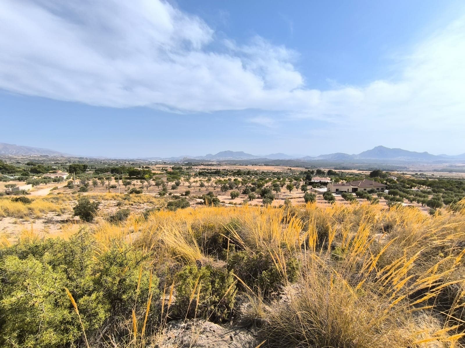 We offer this wonderful building plot of 14497 m2 in Sax. Located only 4 km from the town center, in quiet location with some houses in the vicinity, but no close neighbours, and with part of the parcel hidden behind a little hill, and other offering breath-taking views over the valley, it presents wonderful blend of comfort and privacy. The parcel has irrigation water point, in the area there is a possibility of connecting to electricity as well. Land of 15000m2 in Sax. It has water and possibility of electricity. Access via a dirt road.About the area: Sax is a charming town located in the province of Alicante. Known for its historic Sax Castle perched on a rocky hilltop, the town offers a rich cultural heritage, peaceful atmosphere, excellent local amenities, and proximity to larger cities. Alicante airport and beaches are just 30 minutes away. Its affordable property prices and growing expat community make it a great investment opportunity for buyers looking for a traditional Spanish setting.About us: We are specialists in the Costa Blanca and Costa Calida specialising in the Alicante and Murcia Inland regions with a particular emphasis on Elda, Pinoso, Aspe, Elche and surrounding areas. We are an established, well known and trusted company that has built a solid reputation amongst buyers and sellers since we began trading in 2004. We offer a complete service with no hidden charges or surprises, starting with sourcing the property, right through to completion, and an unrivalled after sales service which includes property management, building services, and general help and advice to make your new house a home. With a portfolio of well over 1400 properties for sale, we are confident that we can help, so just let us know your preferred property, budget and location, and we will do the rest.