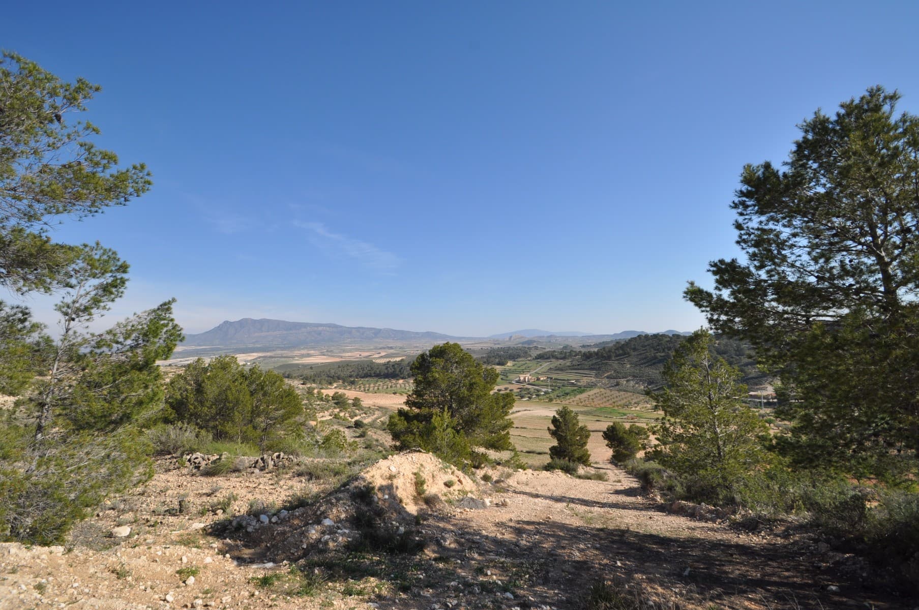 This plot is located in the stunning location of La zarza and is set on the edge of the National park of Sierra De La Plia. With walking and cycling track in abundance in this area makes it popular with tourests and locals alike. The plots will come with written confirmtion from the town hall that the plots can be built on along with written confirmation that mains water and electricity are possible to the plot (quotes also available). In this area the town hall allow the following builds. Single level properties upto 250m2 and two level of 200m2 and 200m2. If this looks and sounds like the plot for you click on the link below to arrange your viewing today.We are specialists in the Costa Blanca and Costa Calida specialising in the Alicante and Murcia Inland regions with a particular emphasis on Elda, Pinoso, Aspe, Elche and surrounding areas. We are an established, well known and trusted company that has built a solid reputation amongst buyers and sellers since we began trading in 2004. We offer a complete service with no hidden charges or surprises, starting with sourcing the property, right through to completion, and an unrivalled after sales service which includes property management, building services, and general help and advice to make your new house a home. With a portfolio of well over 1400 properties for sale, we are confident that we can help, so just let us know your preferred property, budget and location, and we will do the rest.