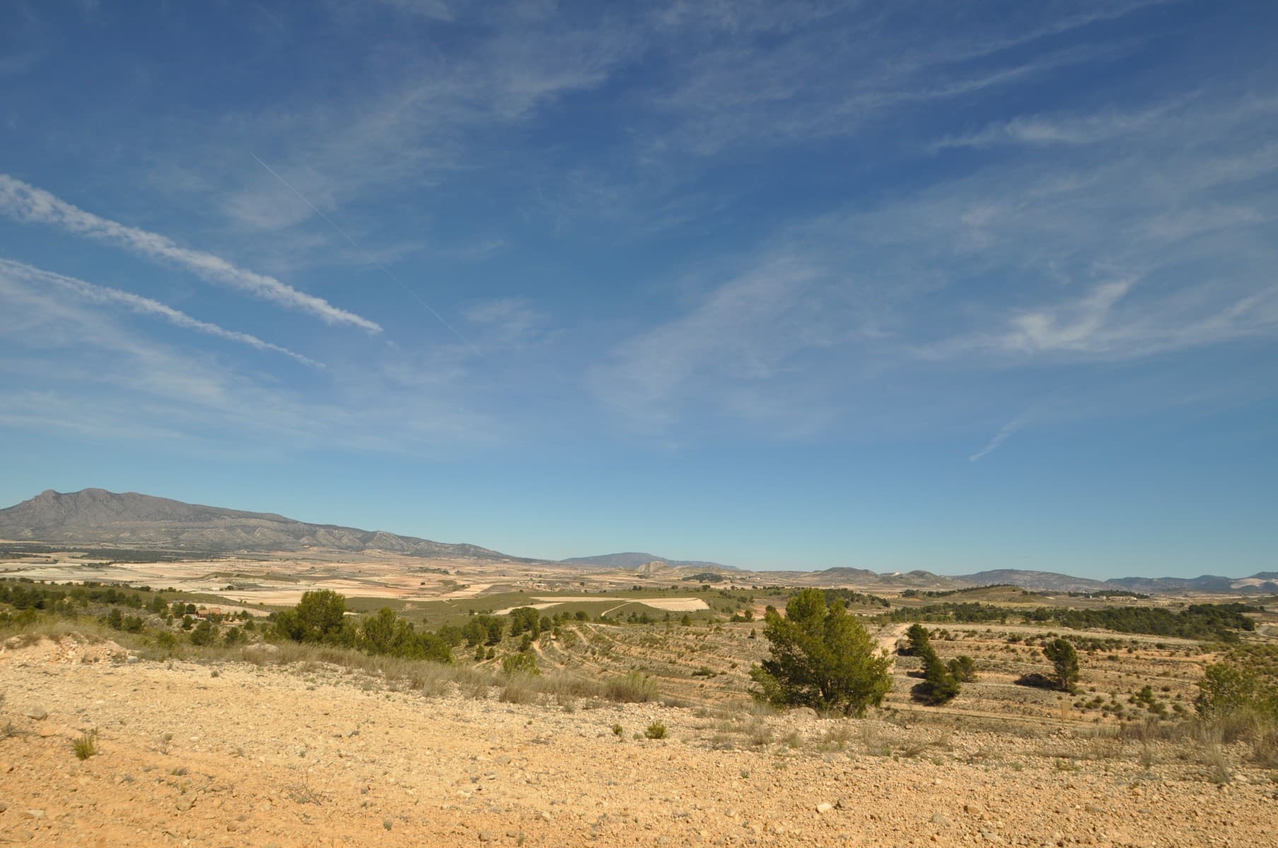 This plot is located in the stunning location of La zarza and is set on the edge of the National park of Sierra De La Plia. With walking and cycling track in abundance in this area makes it popular with tourests and locals alike. The plots will come with written confirmation from the town hall that the plots can be built on along with written confirmation that mains water and electricity are possible to the plot (quotes also available). In this area the town hall allow the following builds. Single level properties upto 250m2 and two level of 200m2 and 200m2.If this looks and sounds like the plot for you click on the link below to arrange your viewing today.We are specialists in the Costa Blanca and Costa Calida specialising in the Alicante and Murcia Inland regions with a particular emphasis on Elda, Pinoso, Aspe, Elche and surrounding areas. We are an established, well known and trusted company that has built a solid reputation amongst buyers and sellers since we began trading in 2004. We offer a complete service with no hidden charges or surprises, starting with sourcing the property, right through to completion, and an unrivalled after sales service which includes property management, building services, and general help and advice to make your new house a home. With a portfolio of well over 1400 properties for sale, we are confident that we can help, so just let us know your preferred property, budget and location, and we will do the rest.