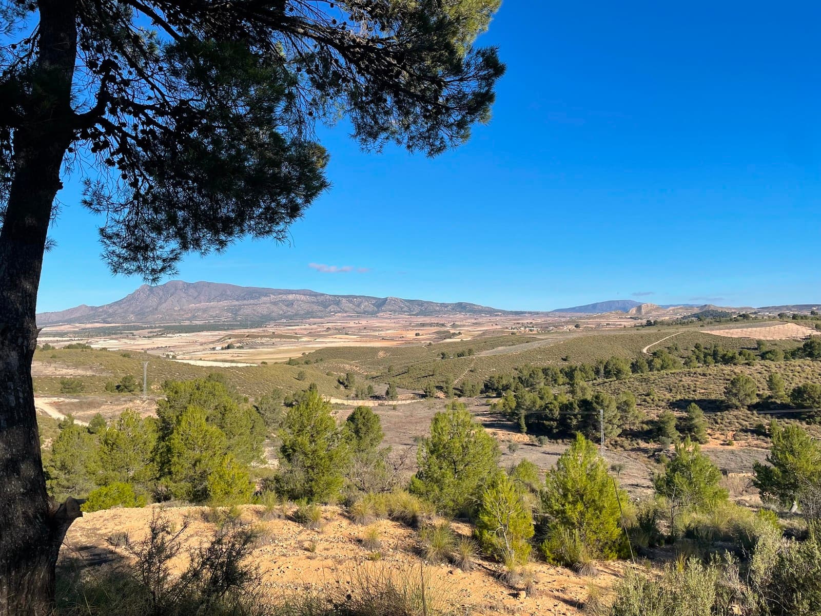 Welcome to this stunning building plot located in La Zarza, which boasts a prime location on the edge of the National park of Sierra De La Plia. This area is a haven for outdoor enthusiasts, with an abundance of walking and cycling tracks that attract both tourists and locals alike.This fully legal plot comes with written confirmation from the town hall that it can be built on, as well as written confirmation that mains water and electricity are available to the plot (quotes also available upon request). High-speed internet and telephone connections are also available in the area.The town hall allows you to build on this plot, including single-level properties up to 250m2, as well as two-level properties totaling 400m2 (200m2 per level). This makes it an ideal investment opportunity for those looking to build their dream home or holiday getaway in a breathtakingly beautiful location.Don't miss out on this rare opportunity to own a piece of paradise in La Zarza - contact us today to schedule a viewing and start planning your future on this amazing building plot.We have a large portfolio of properties in the Costa Blanca and Costa Calida areas, specialising in country properties, villas, fincas, building plots and design and build options in the Alicante and Murcia regions with a particular emphasis on Elda, Monovar, Pinoso, Sax, Villena, Aspe, Fortuna, Albacete and many more surrounding areas. We have been established since 2004 and have decades of experience between the team which we bring to bear to help you find and secure your new dream home. We help you every step of the way to make sure your purchase in Spain is safe and hassle free. We are not here to sell you a property, we are here to help you realise your dream and find what is right for you. With us you are in the safest hands. Contact us now to have a no obligation chat about how you too can realise your dreams.