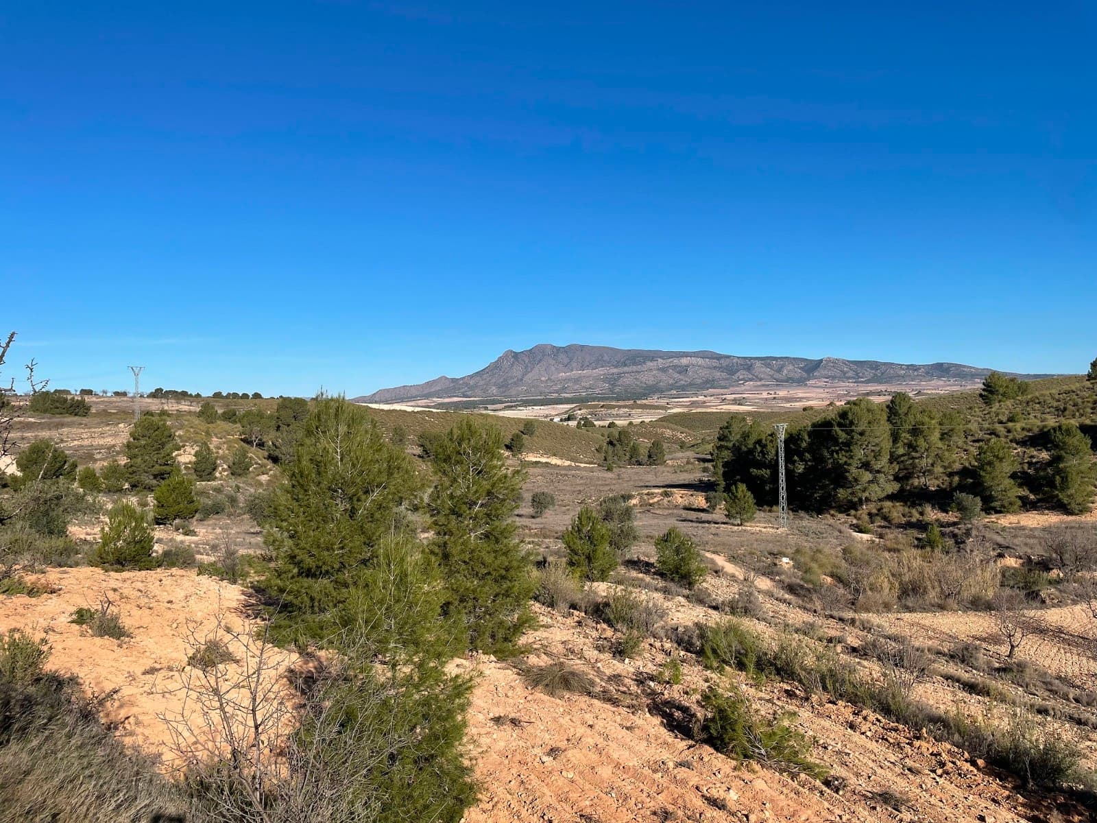 Welcome to this stunning building plot located in La Zarza, which boasts a prime location on the edge of the National park of Sierra De La Plia. This area is a haven for outdoor enthusiasts, with an abundance of walking and cycling tracks that attract both tourists and locals alike.This fully legal plot comes with written confirmation from the town hall that it can be built on, as well as written confirmation that mains water and electricity are available to the plot (quotes also available upon request). High-speed internet and telephone connections are also available in the area.The town hall allows you to build on this plot, including single-level properties up to 250m2, as well as two-level properties totaling 400m2 (200m2 per level). This makes it an ideal investment opportunity for those looking to build their dream home or holiday getaway in a breathtakingly beautiful location.Don't miss out on this rare opportunity to own a piece of paradise in La Zarza - contact us today to schedule a viewing and start planning your future on this amazing building plot.We have a large portfolio of properties in the Costa Blanca and Costa Calida areas, specialising in country properties, villas, fincas, building plots and design and build options in the Alicante and Murcia regions with a particular emphasis on Elda, Monovar, Pinoso, Sax, Villena, Aspe, Fortuna, Albacete and many more surrounding areas. We have been established since 2004 and have decades of experience between the team which we bring to bear to help you find and secure your new dream home. We help you every step of the way to make sure your purchase in Spain is safe and hassle free. We are not here to sell you a property, we are here to help you realise your dream and find what is right for you. With us you are in the safest hands. Contact us now to have a no obligation chat about how you too can realise your dreams.