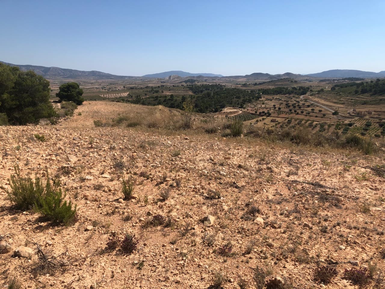 This exceptional plot of land lies in an area untouched by mining activities, providing panoramic 360º views of protected mountain vistas and the traditional agricultural landscapes adorned with almond trees, vineyards, and ancient olive groves. Access to mains electricity and potable water is possible upon obtaining a building permit, with easy access via a well-maintained dirt road just a short distance from the asphalted main road.Surrounded by a few neighbouring residences, the location exudes tranquillity, perfect for leisurely strolls, cycling, motorcycling, or driving, whether solo or accompanied.Conveniently situated in the village of La Zarza, all essential amenities are within reach in Pinoso (Alicante), just a brief 15-minute drive away. This property offers an idyllic blend of rural seclusion and accessibility to necessary services, making it an enticing opportunity for those seeking a peaceful countryside retreat.We have a large portfolio of properties in the Costa Blanca and Costa Calida areas, specialising in country properties, villas, fincas, building plots and design and build options in the Alicante and Murcia regions with a particular emphasis on Elda, Monovar, Pinoso, Sax, Villena, Aspe, Fortuna, Albacete and many more surrounding areas. We have been established since 2004 and have decades of experience between the team which we bring to bear to help you find and secure your new dream home. We help you every step of the way to make sure your purchase in Spain is safe and hassle free. We are not here to sell you a property, we are here to help you realise your dream and find what is right for you. With us you are in the safest hands. Contact us now to have a no obligation chat about how you too can realise your dreams.